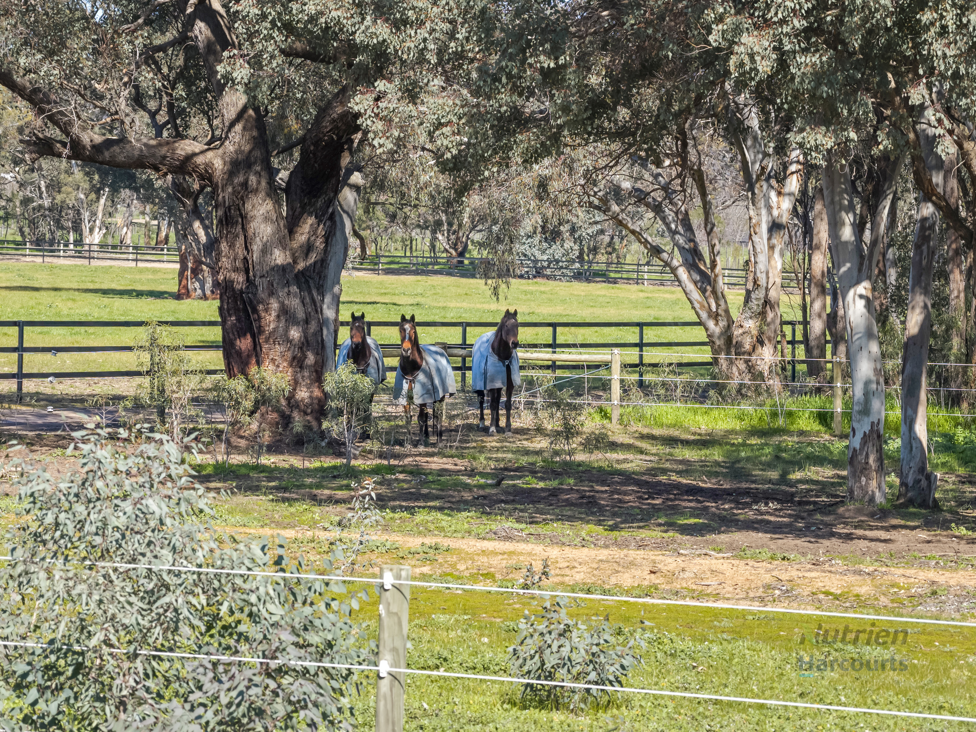 35 Scobie Road, Longwood East For Sale by Farmbuy.com - image 20