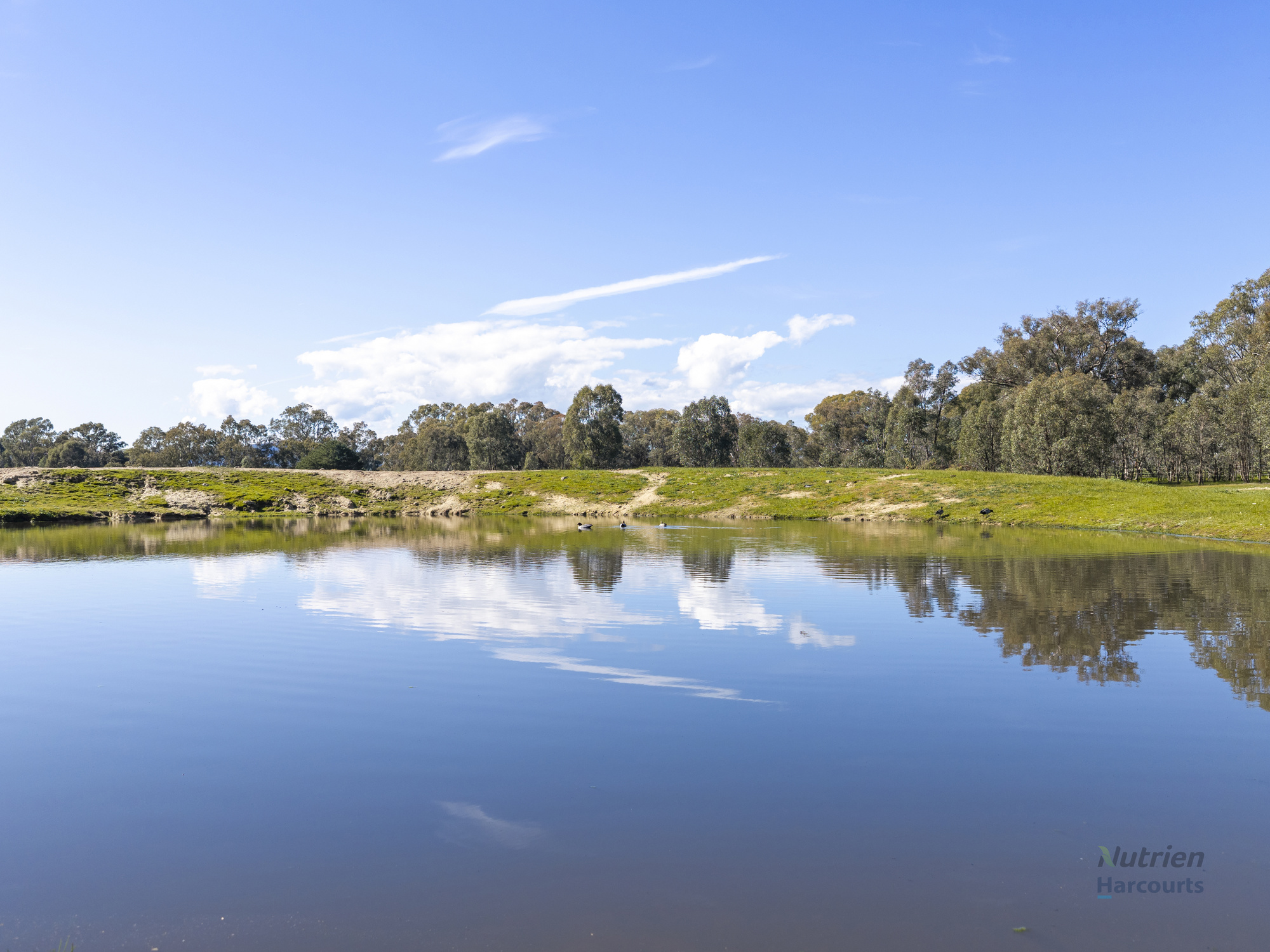 35 Scobie Road, Longwood East For Sale by Farmbuy.com - image 22