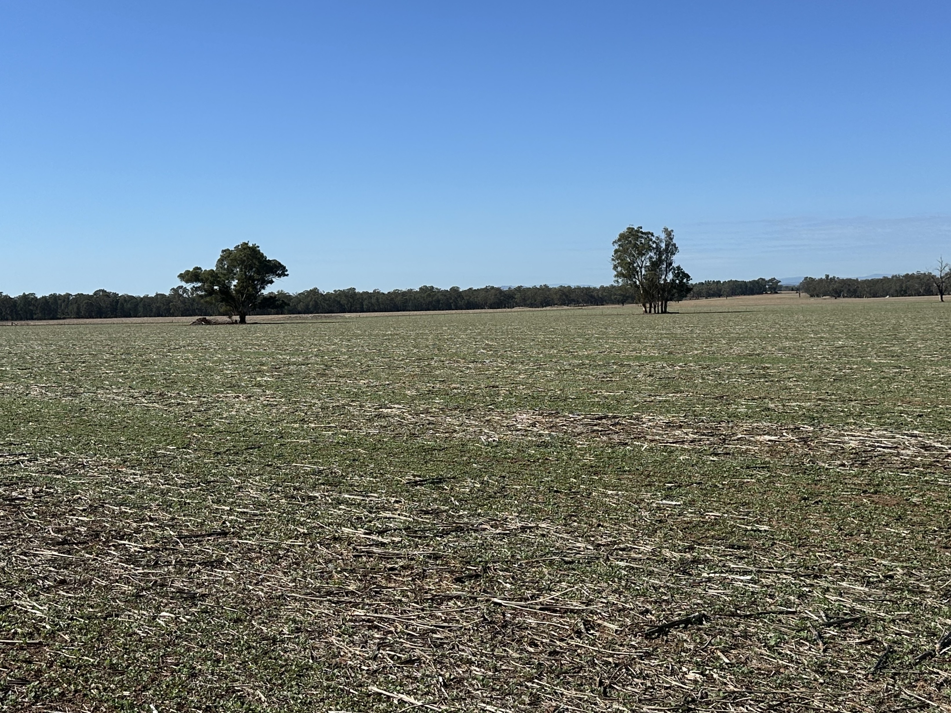 &period; Lilydale Road, Balldale NSW 2646