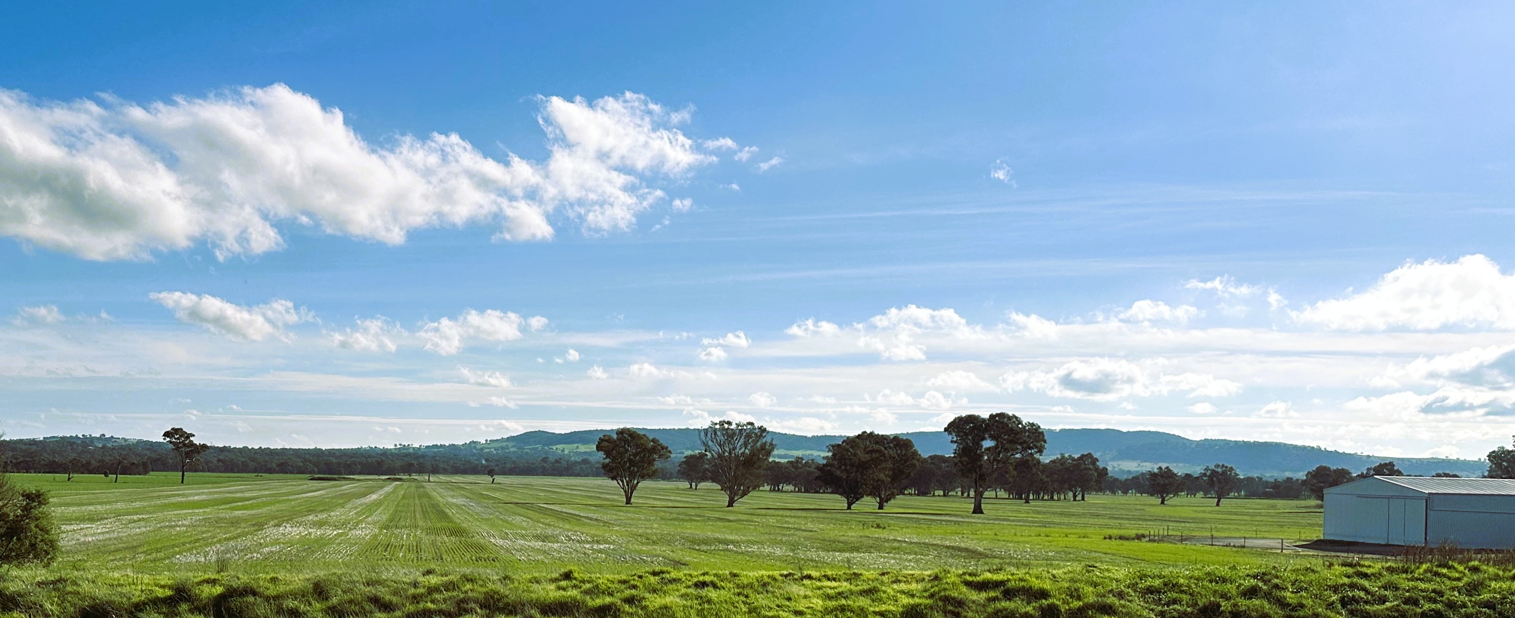 Lot 61 Rodgers Road, Gerogery NSW 2642