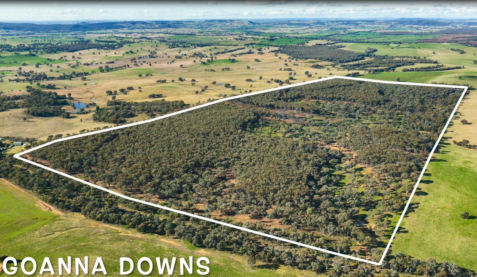 &period; Holbrook Wagga Road, Cookardinia NSW 2650