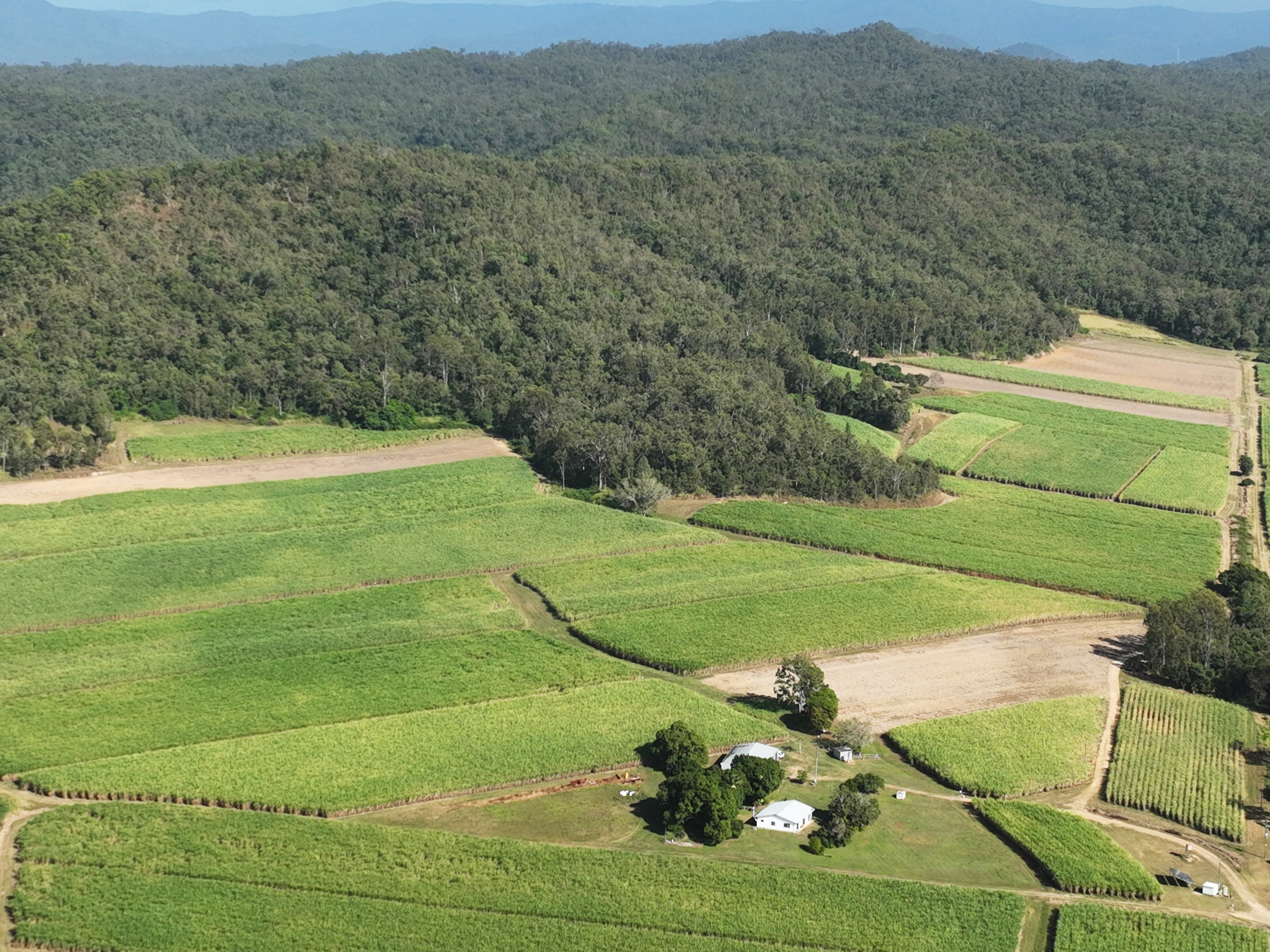 Farm For Sale - QLD - Septimus - 4754 - Pioneer Valley Lifestyle 