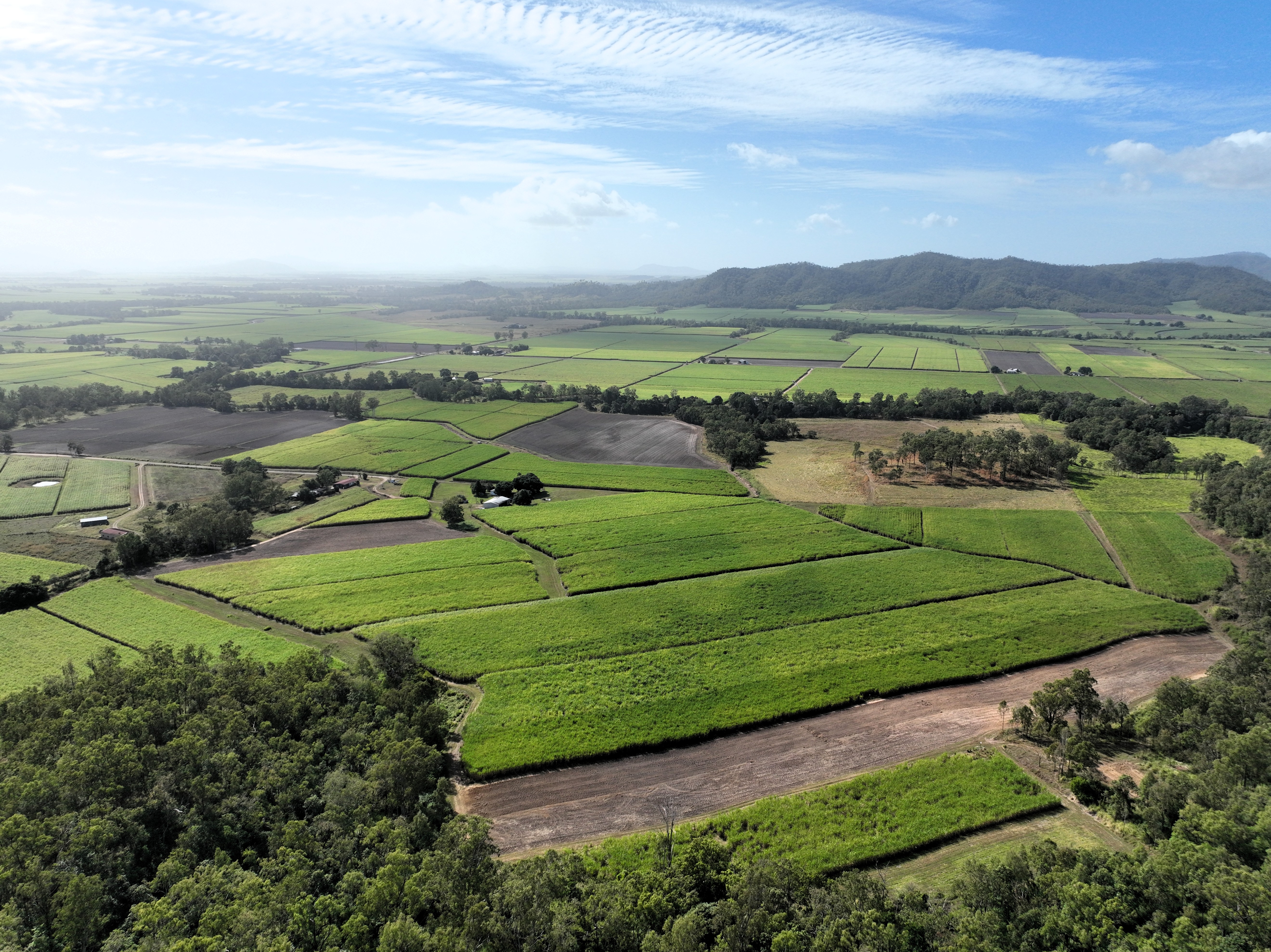 169 Bradfords Road, Septimus For Sale by Farmbuy.com - image 4