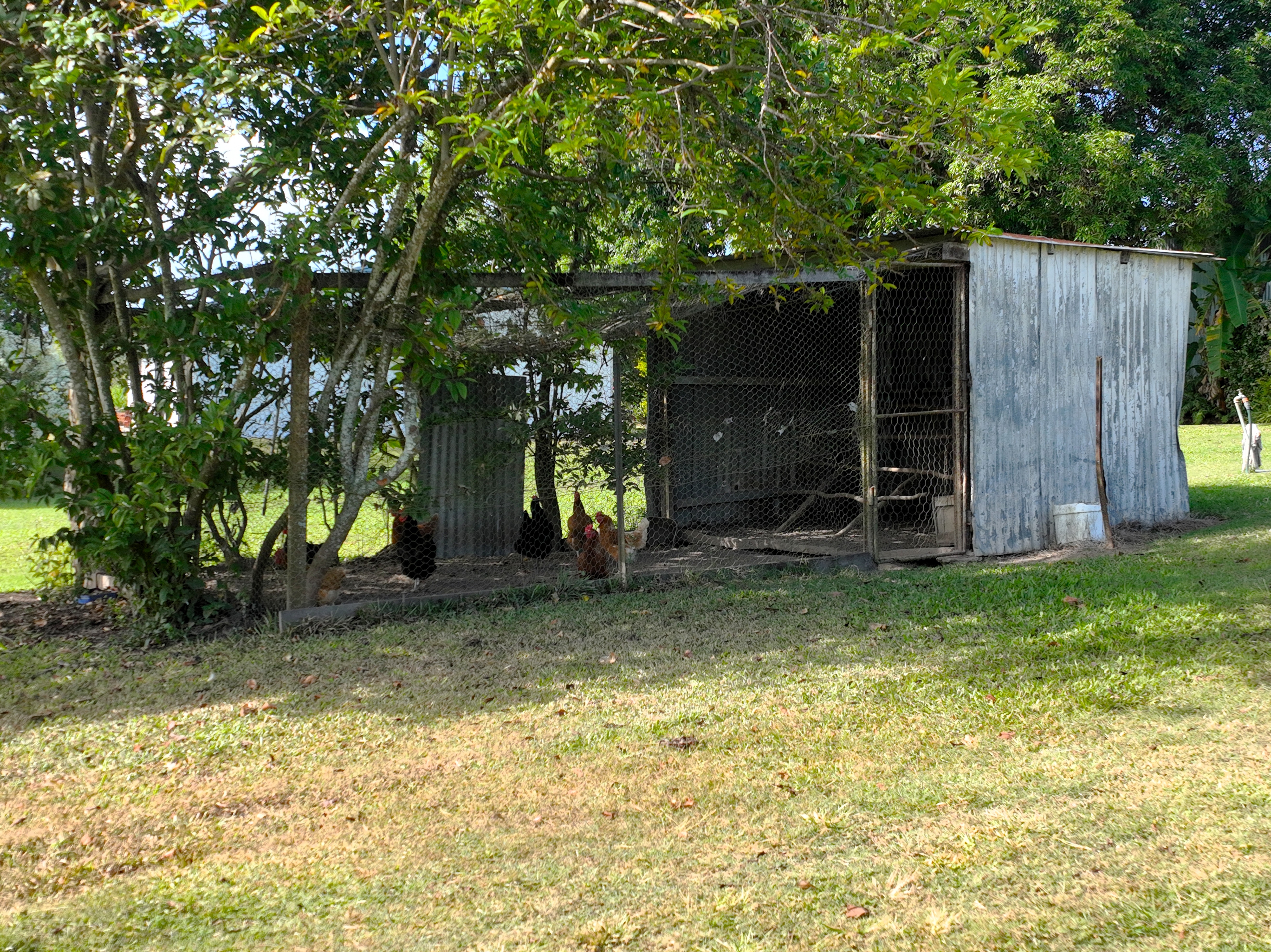 169 Bradfords Road, Septimus For Sale by Farmbuy.com - image 12