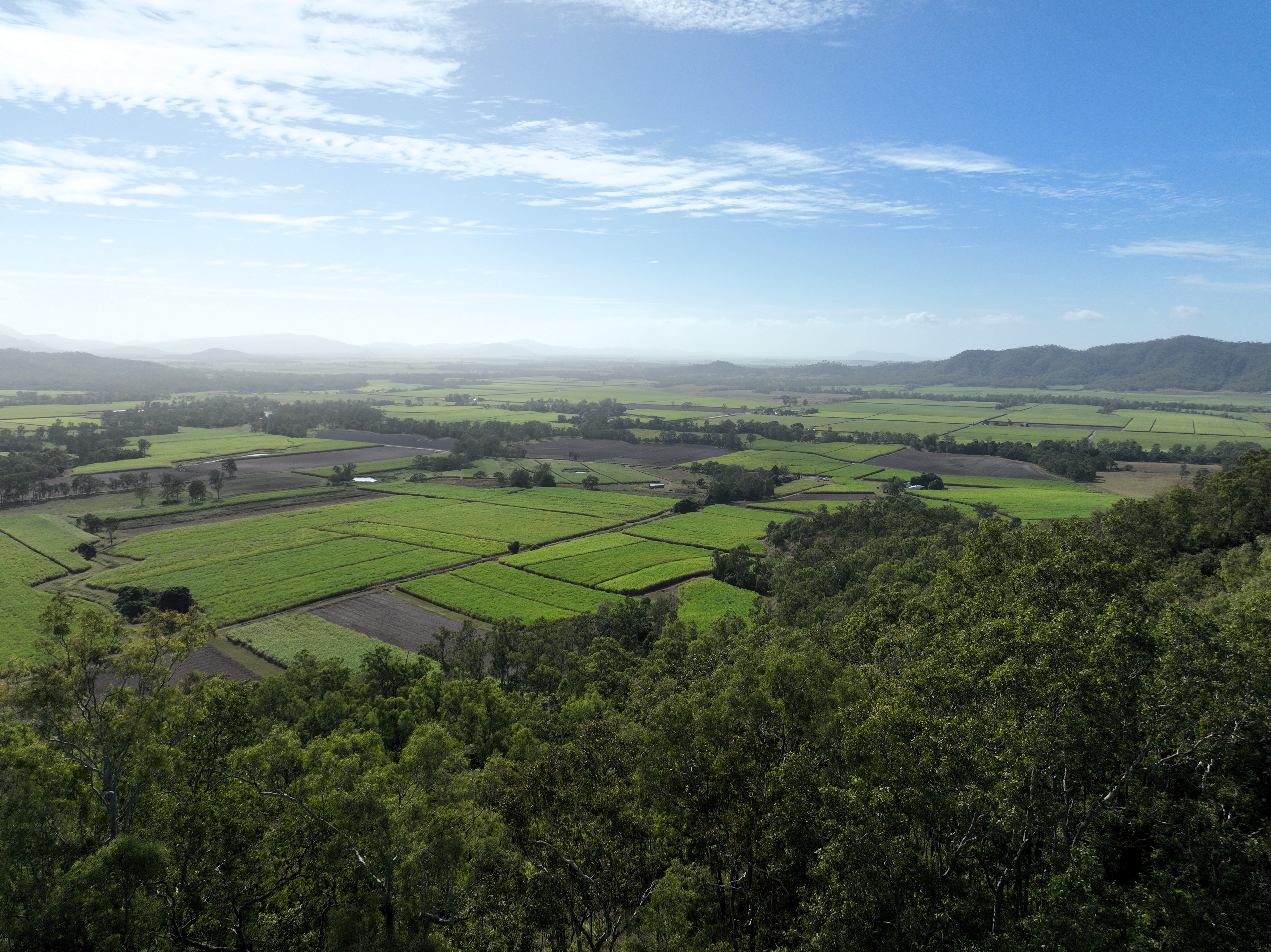 169 Bradfords Road, Septimus For Sale by Farmbuy.com - image 16