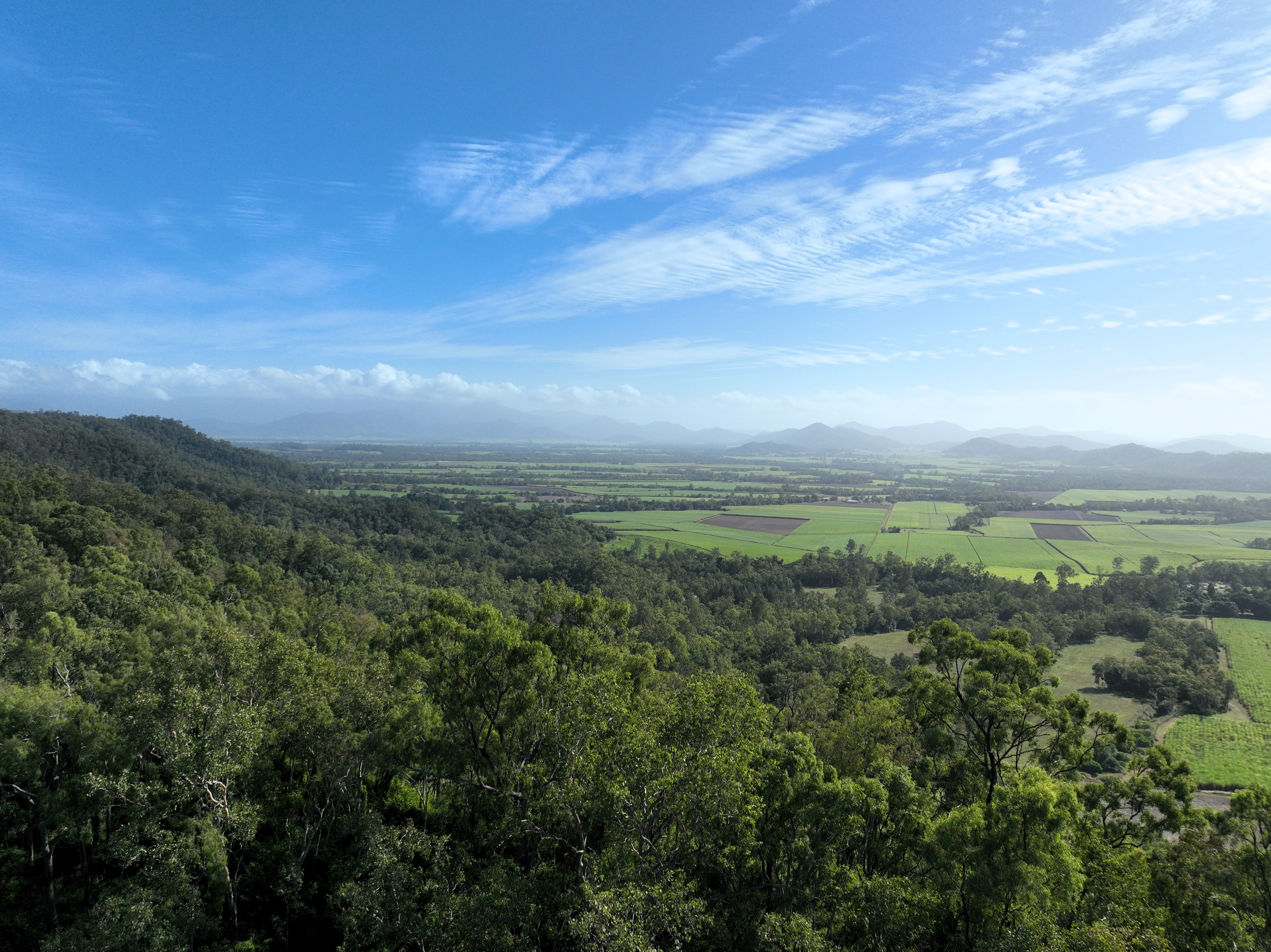 169 Bradfords Road, Septimus For Sale by Farmbuy.com - image 17