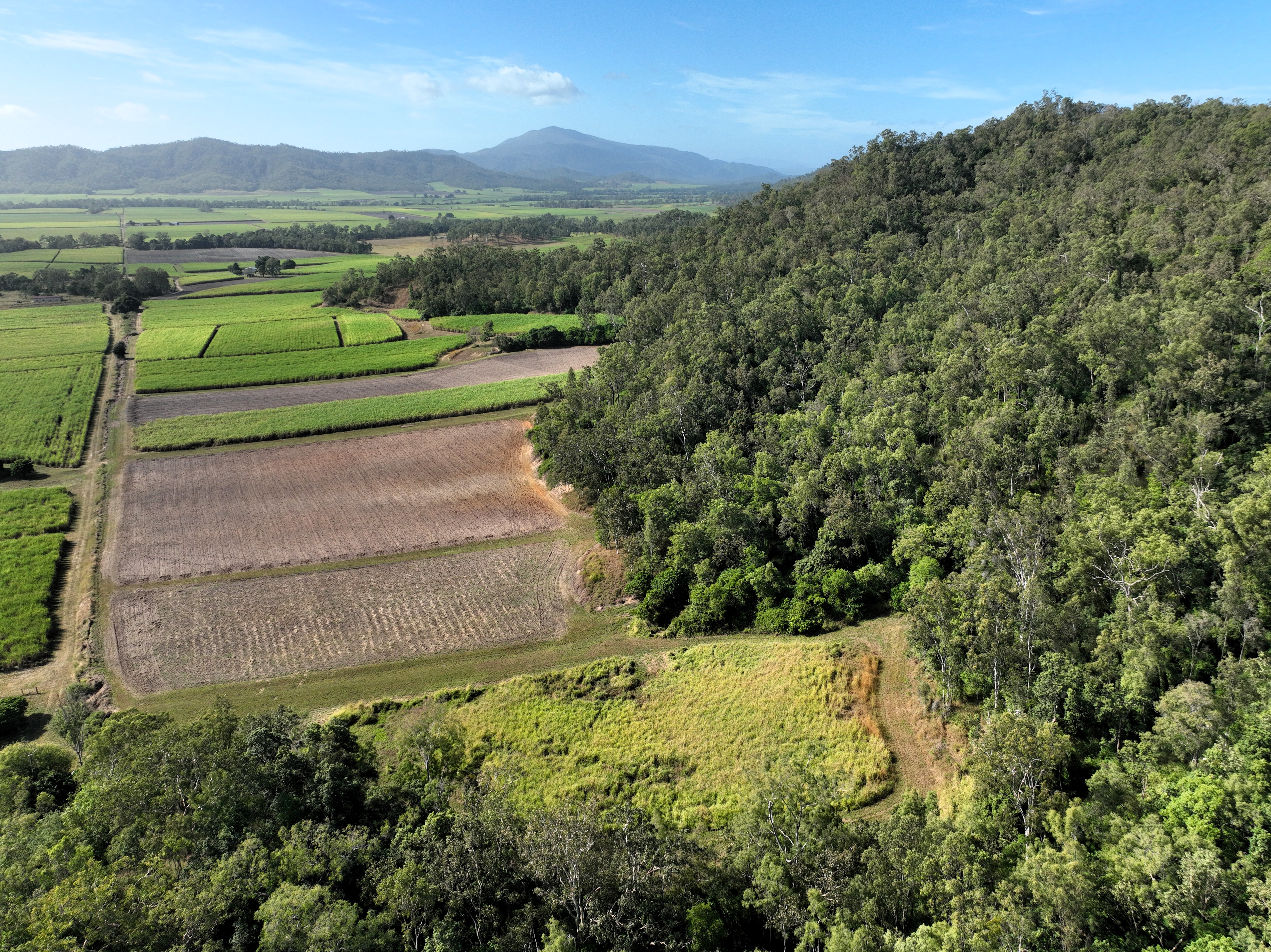 169 Bradfords Road, Septimus For Sale by Farmbuy.com - image 18