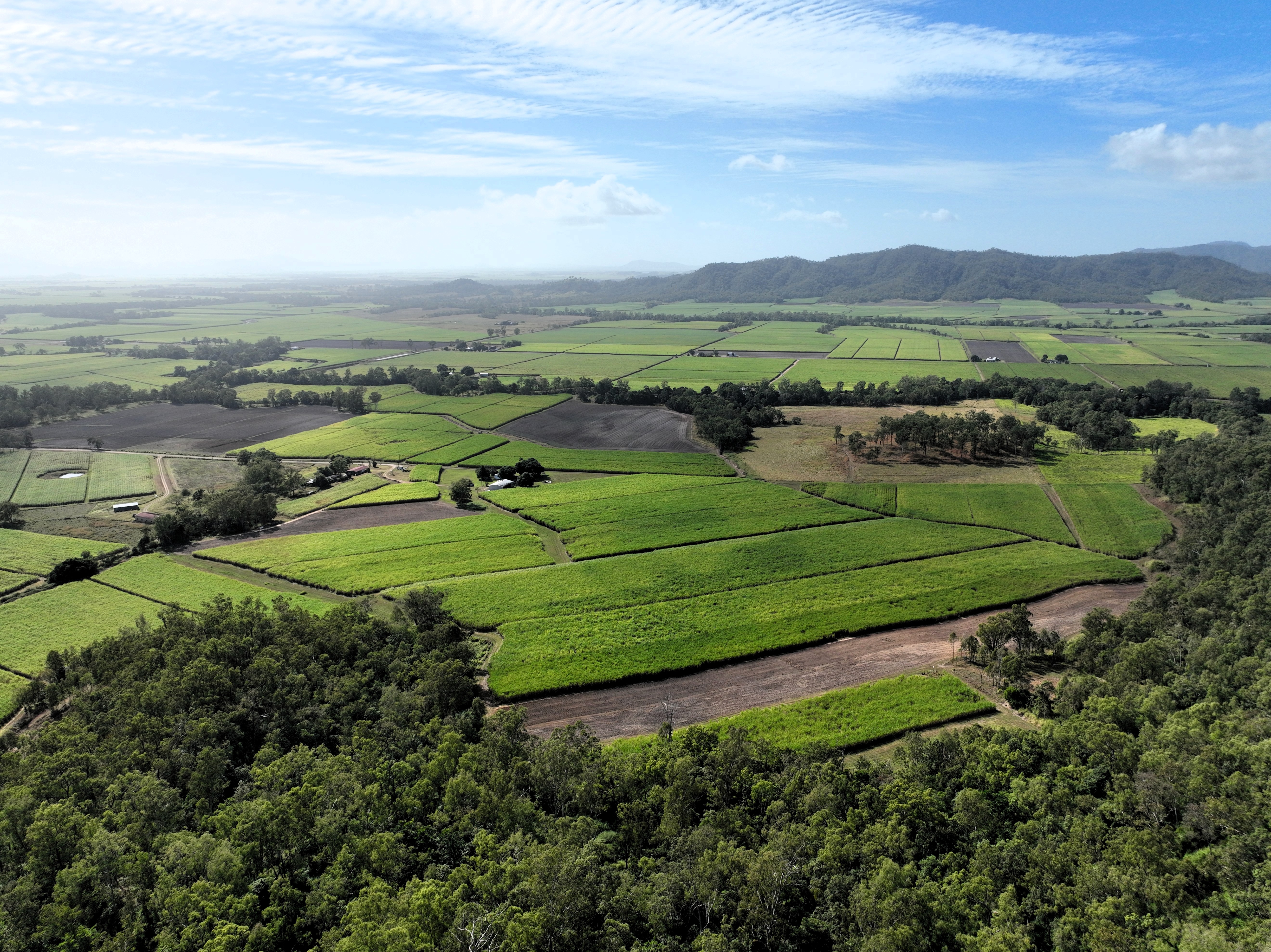 169 Bradfords Road, Septimus For Sale by Farmbuy.com - image 15