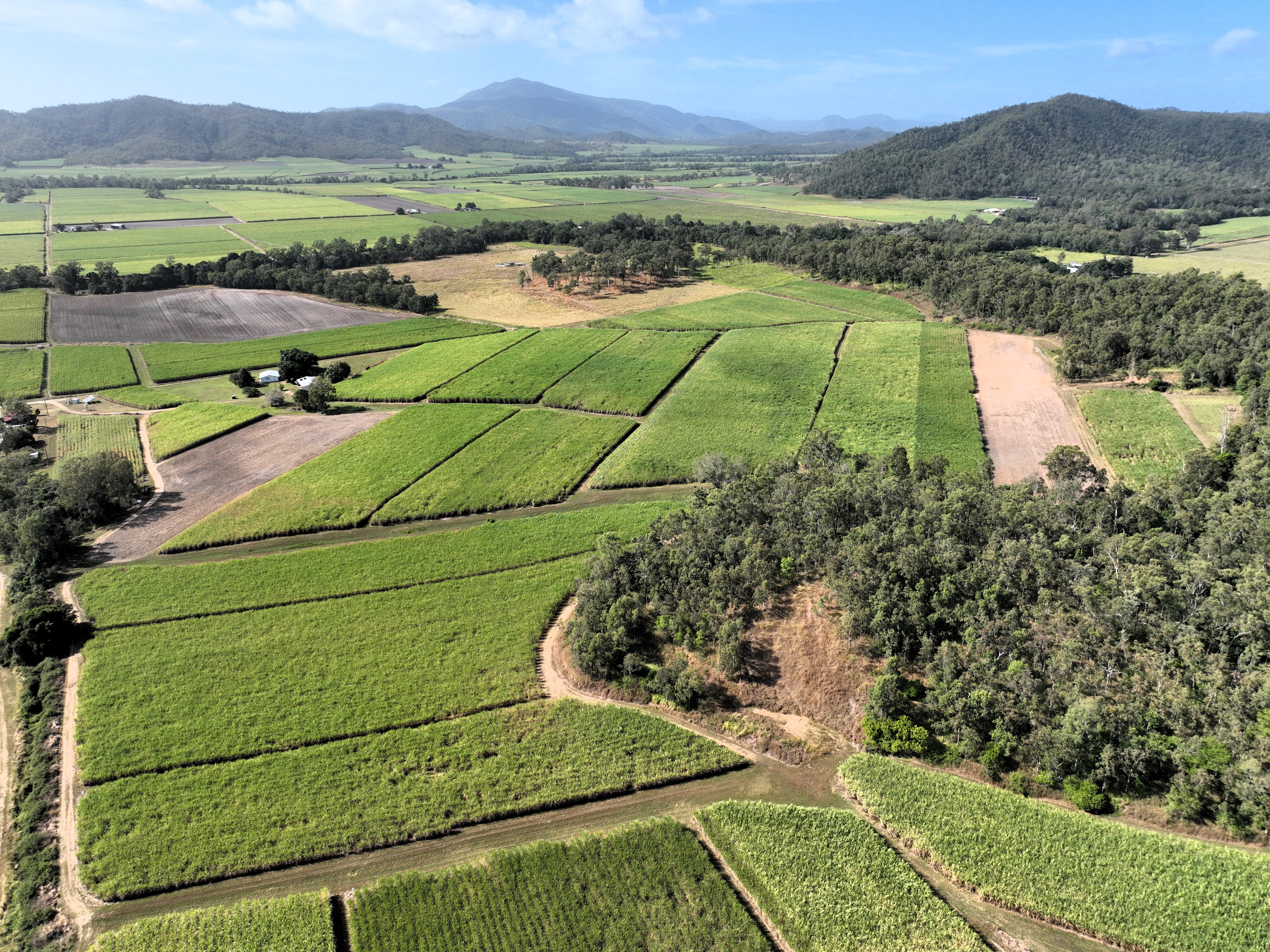 169 Bradfords Road, Septimus For Sale by Farmbuy.com - image 19