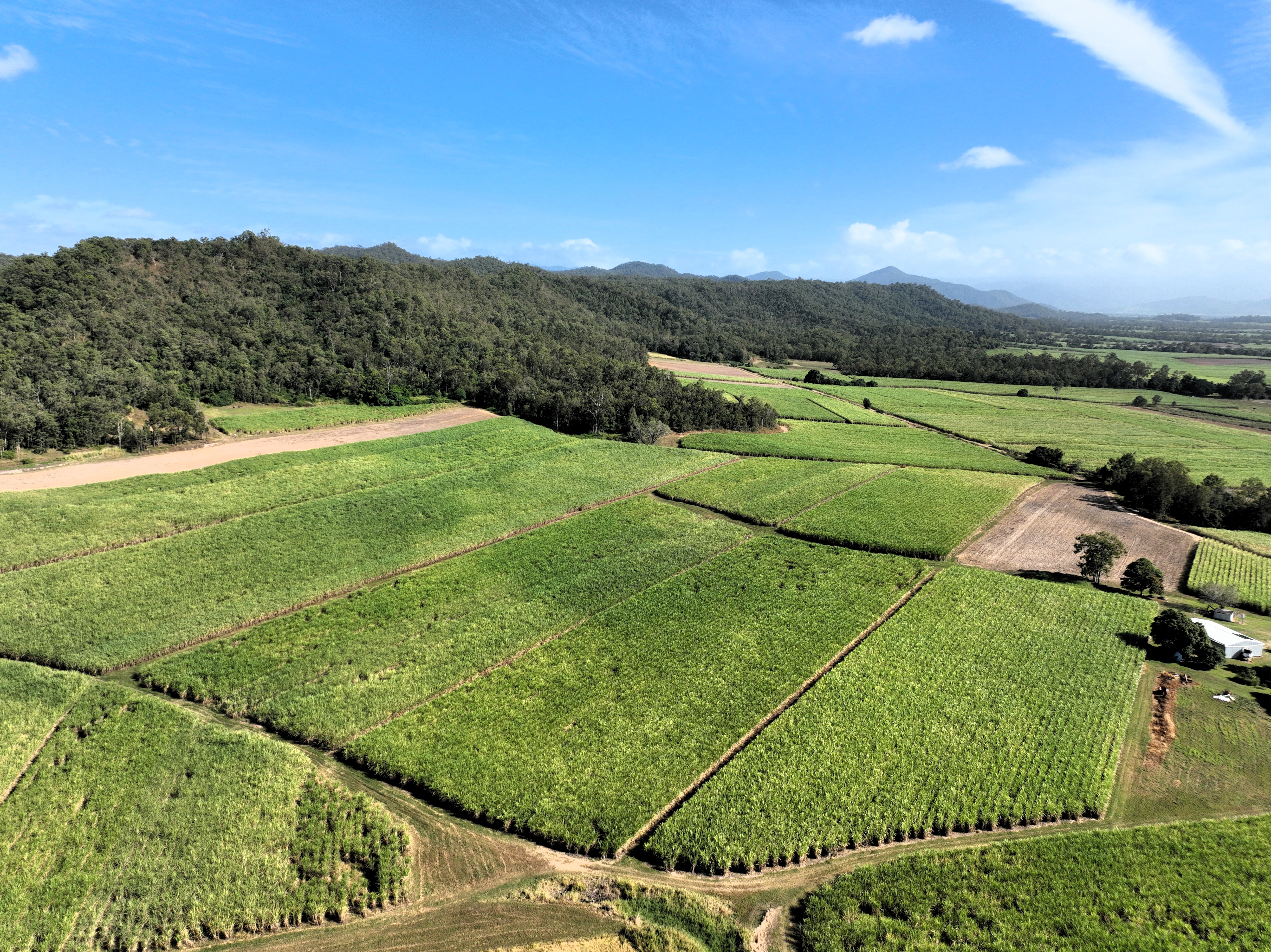 169 Bradfords Road, Septimus For Sale by Farmbuy.com - image 29