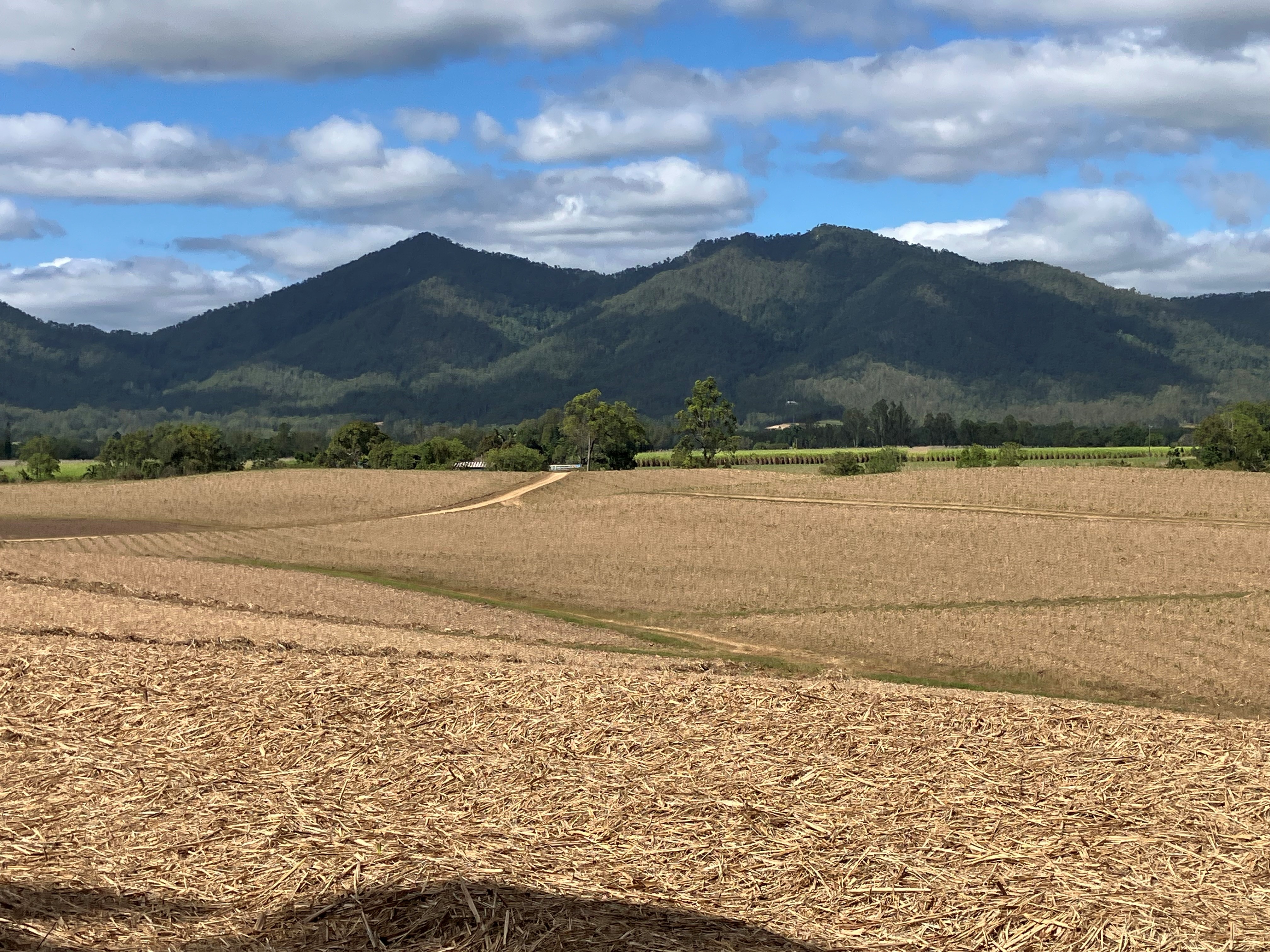 Lot 4 Primroses Road, Finch Hatton QLD 4756