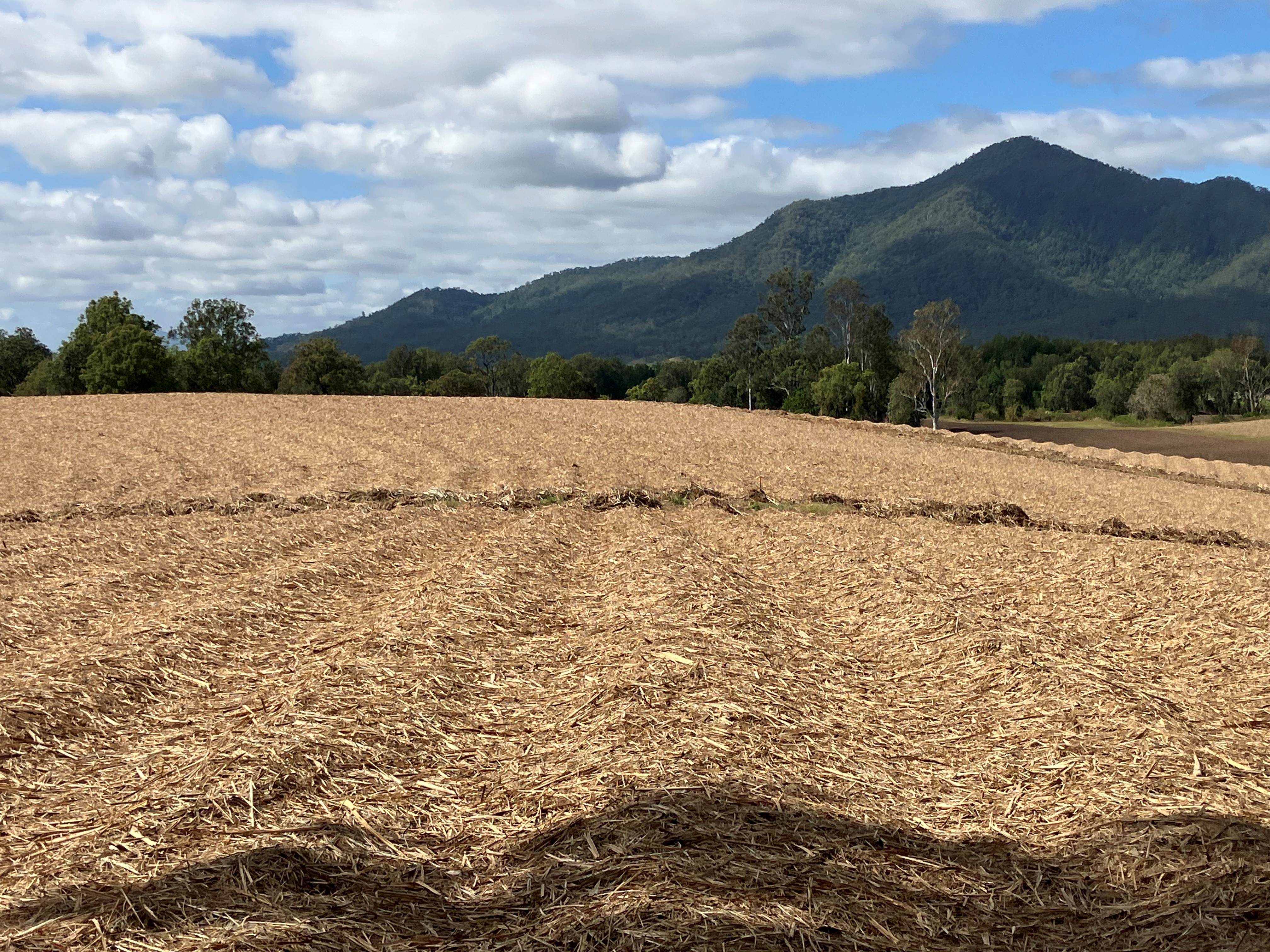 Lot 7 Primroses Road, Finch Hatton QLD 4756