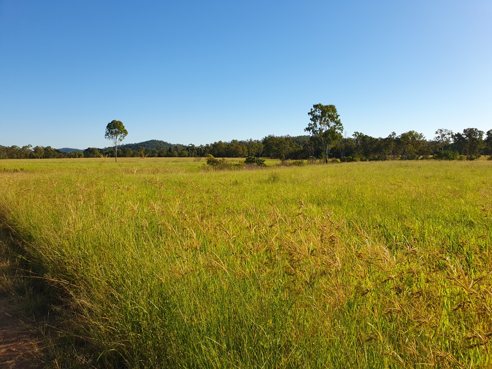 Mount Ossa QLD 4741