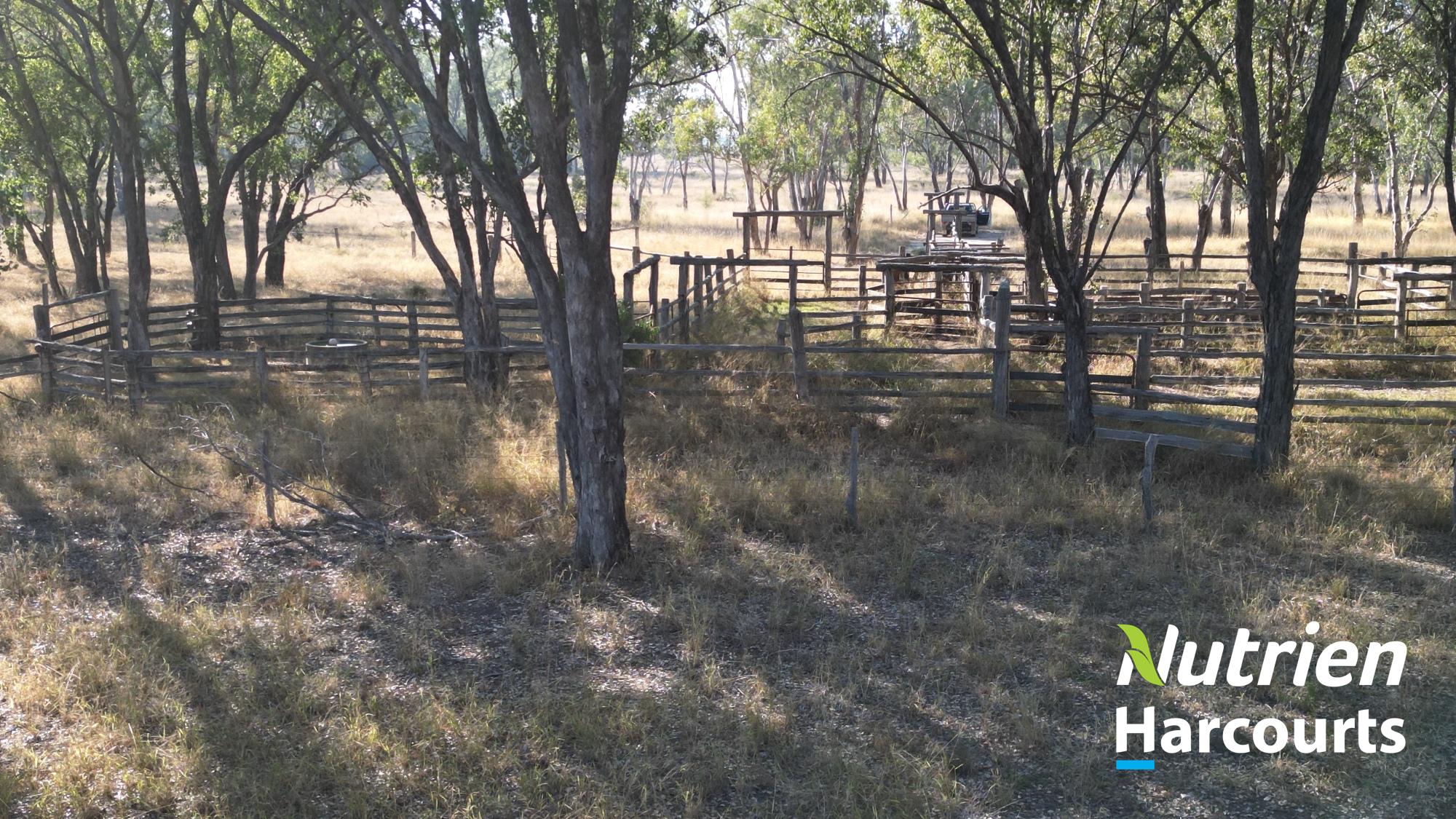 "Sixty-Two" Rennicks Road, Chinchilla Auction by Farmbuy.com - image 29