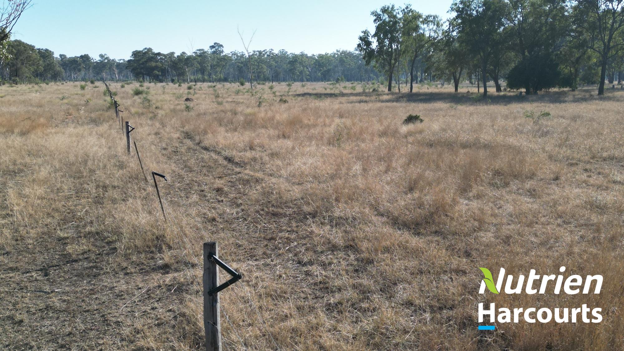 "Sixty-Two" Rennicks Road, Chinchilla Auction by Farmbuy.com - image 30
