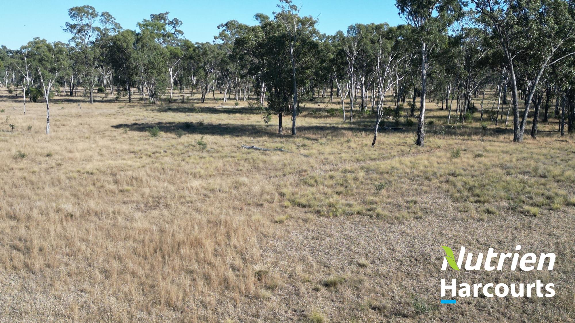 "Sixty-Two" Rennicks Road, Chinchilla Auction by Farmbuy.com - image 35