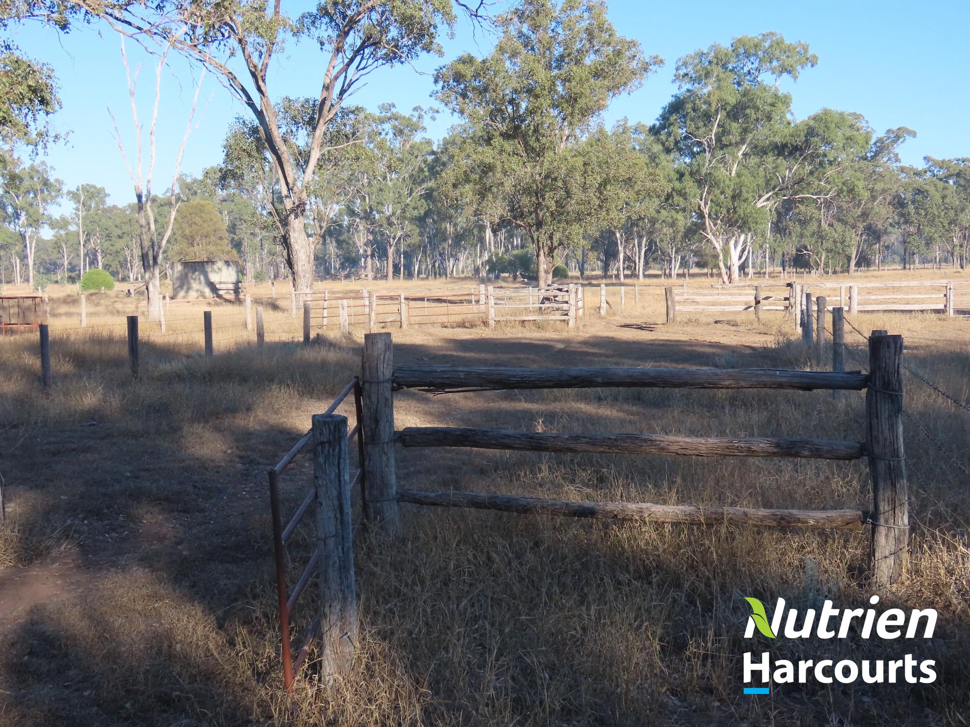 "Sixty-Two" Rennicks Road, Chinchilla Auction by Farmbuy.com - image 33