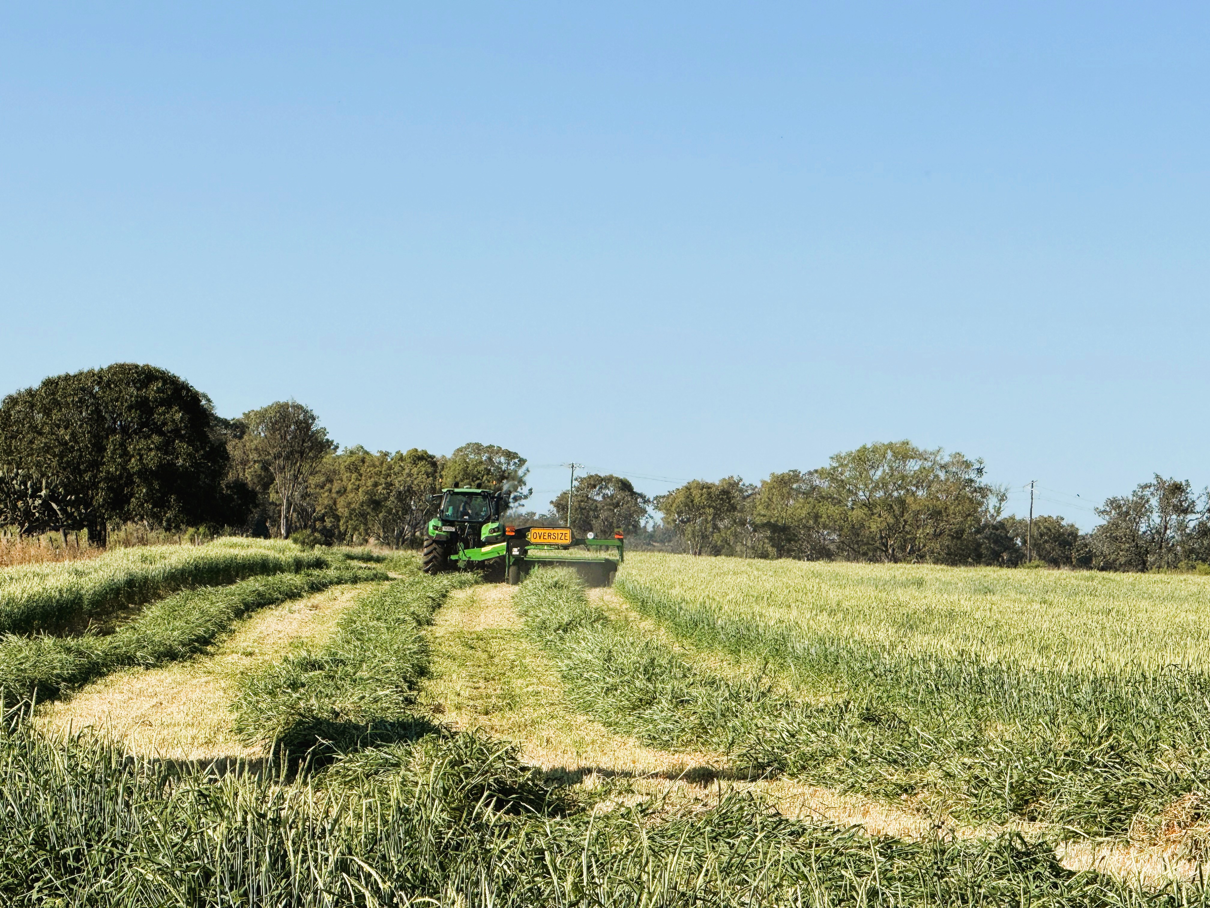 'The Overflow' 102 Crighton Road, Biddeston Auction by Farmbuy.com - image 31