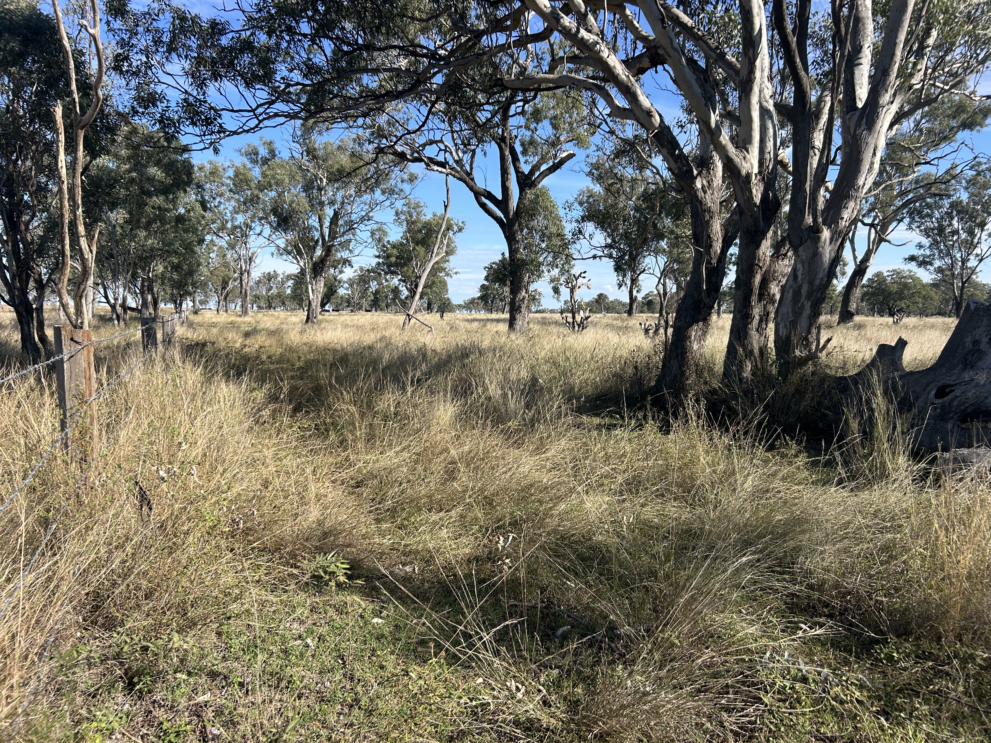 Kaimkillenbun QLD 4406