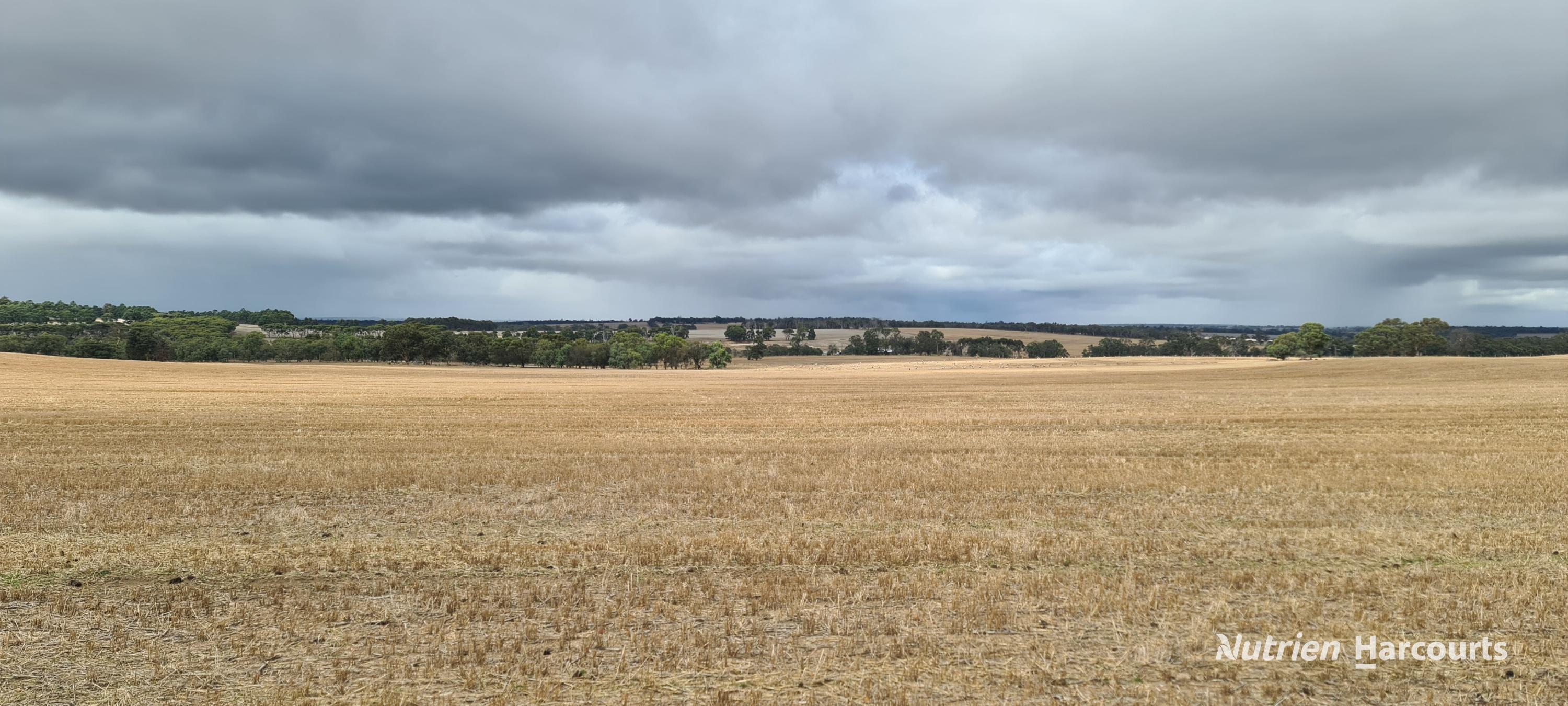 Lot 347 Yarralena Road, Cranbrook WA 6321