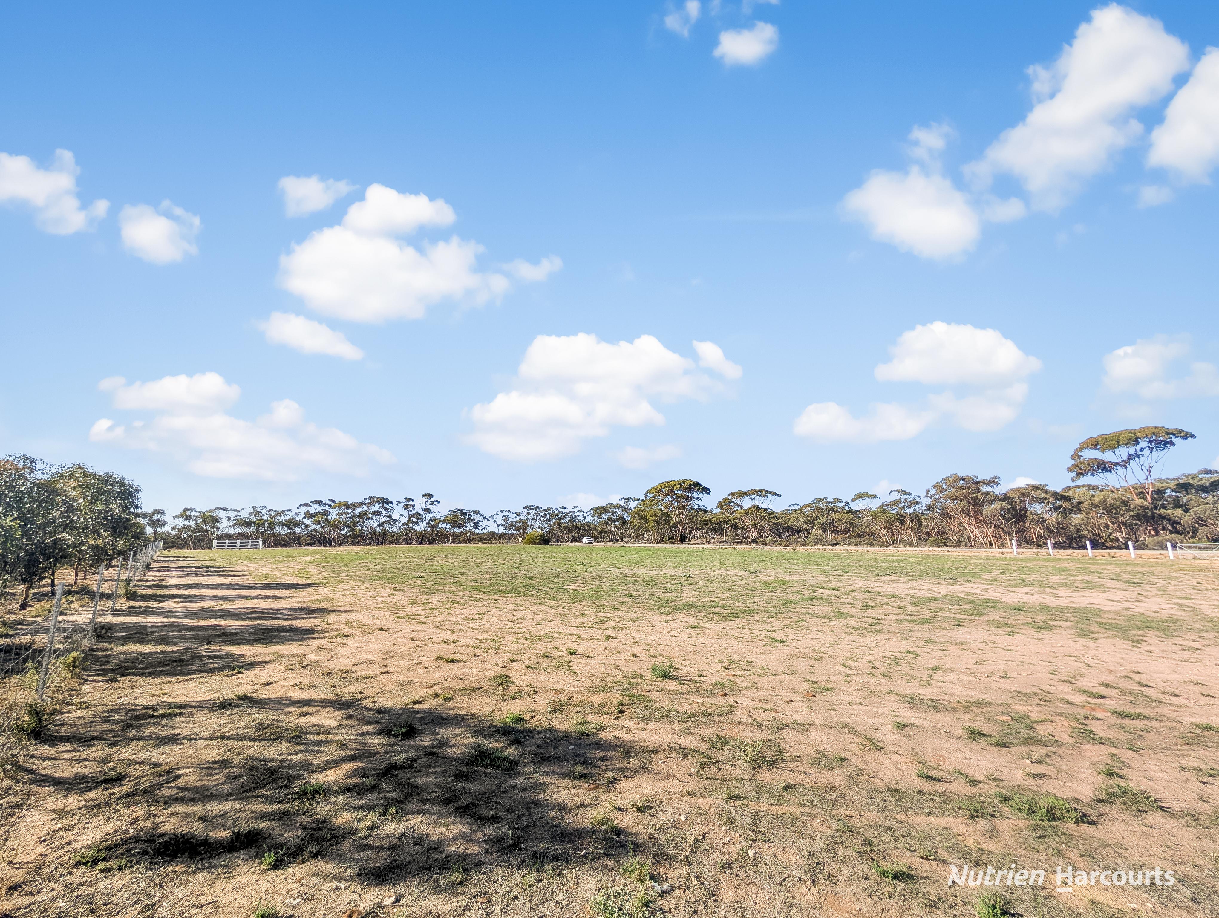 41 Maiolo Way, Merredin WA 6415