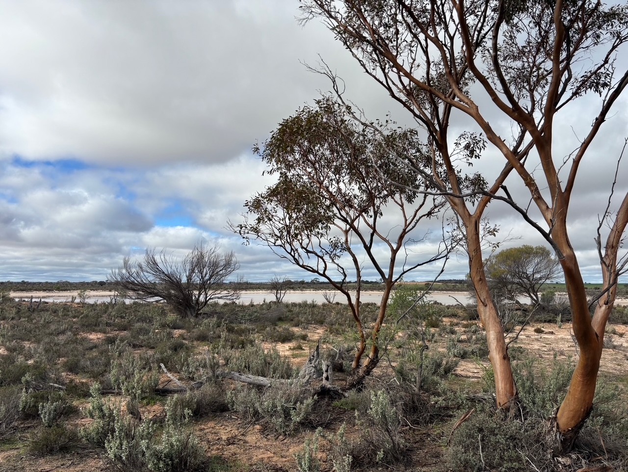 21 Goldfields Road (Baandee), Kellerberrin WA 6410