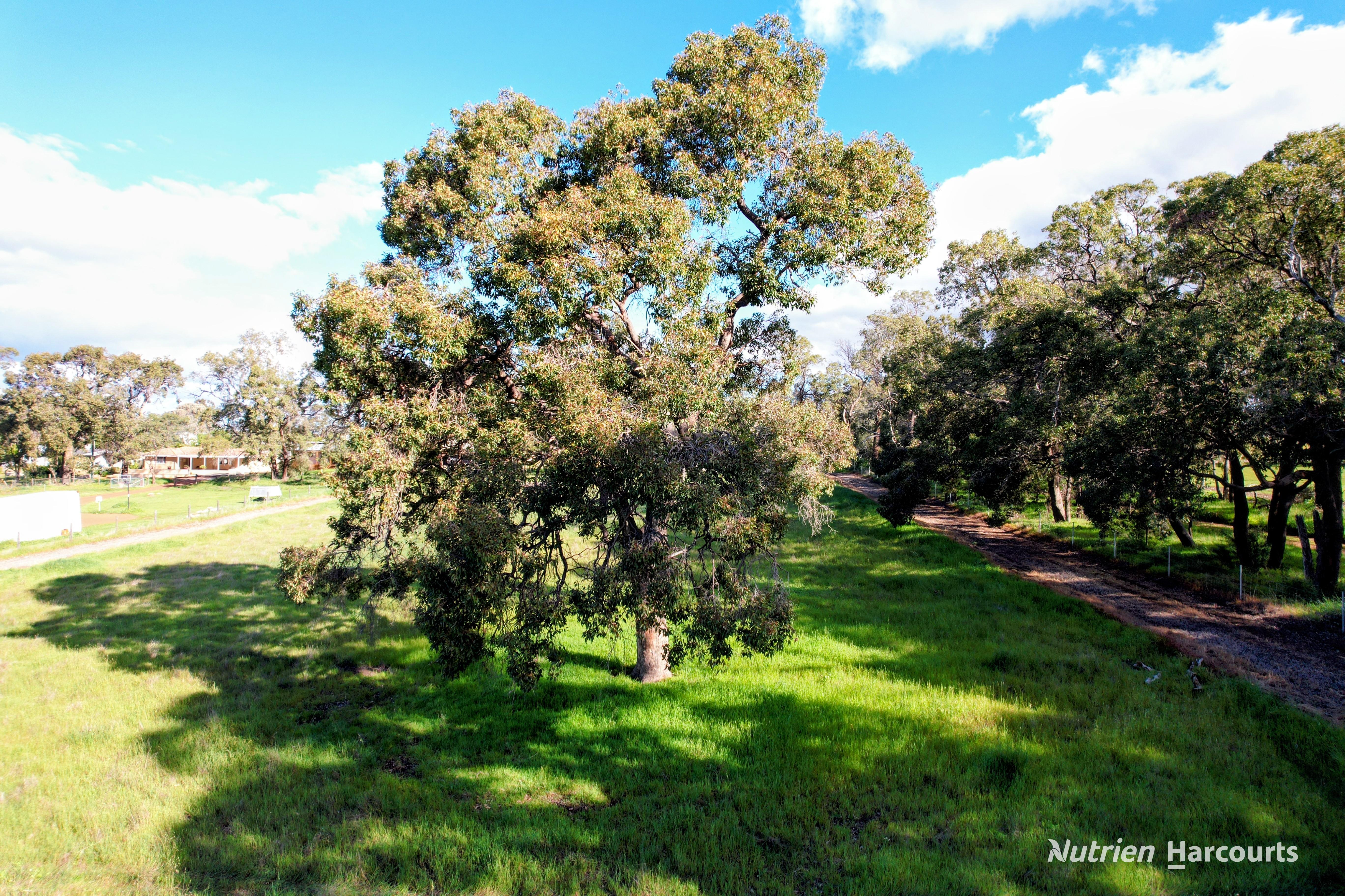 2 (Lot 201) Lefroy Street, Gingin For Sale by Farmbuy.com - image 8