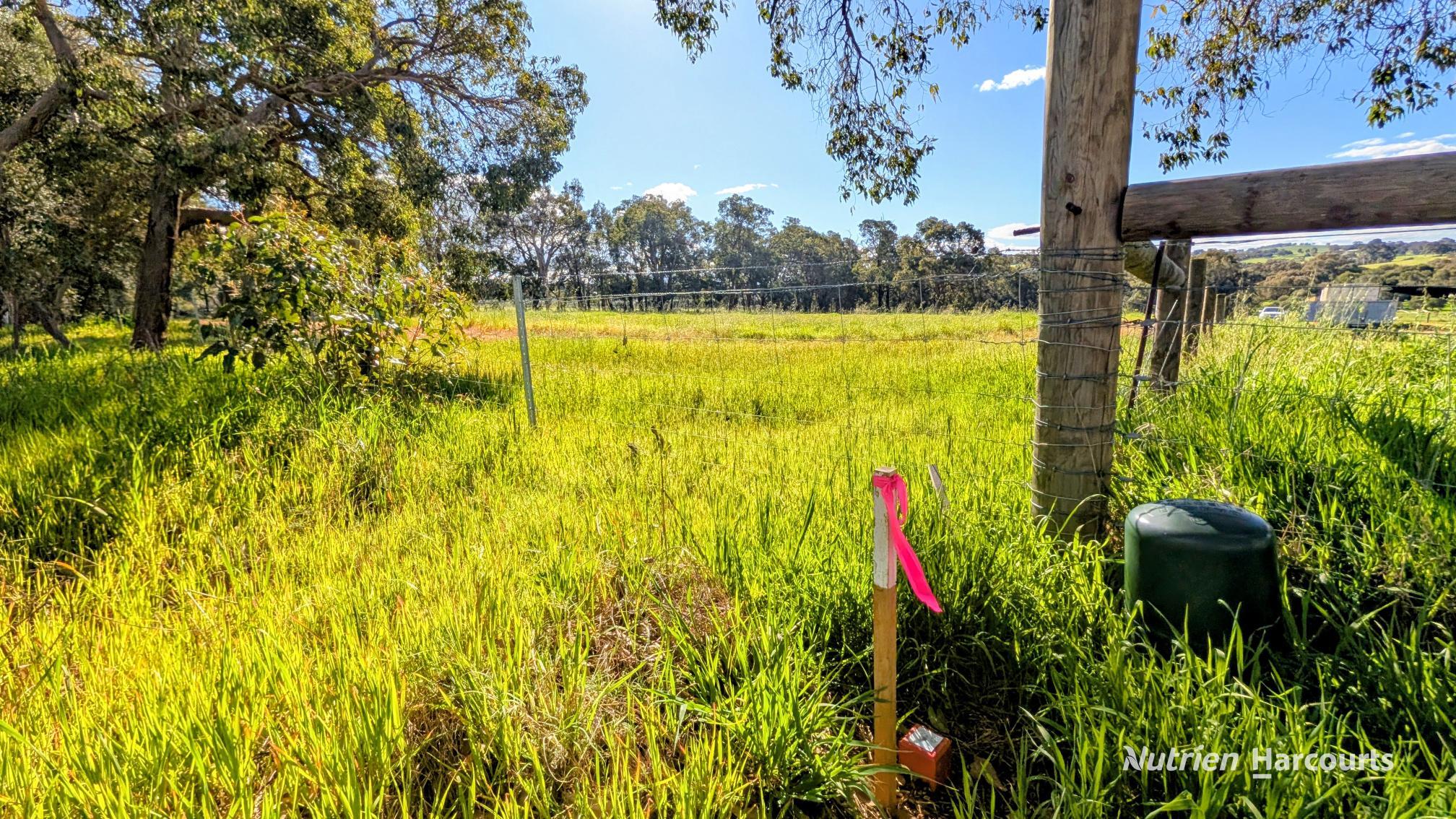 2 (Lot 201) Lefroy Street, Gingin For Sale by Farmbuy.com - image 4
