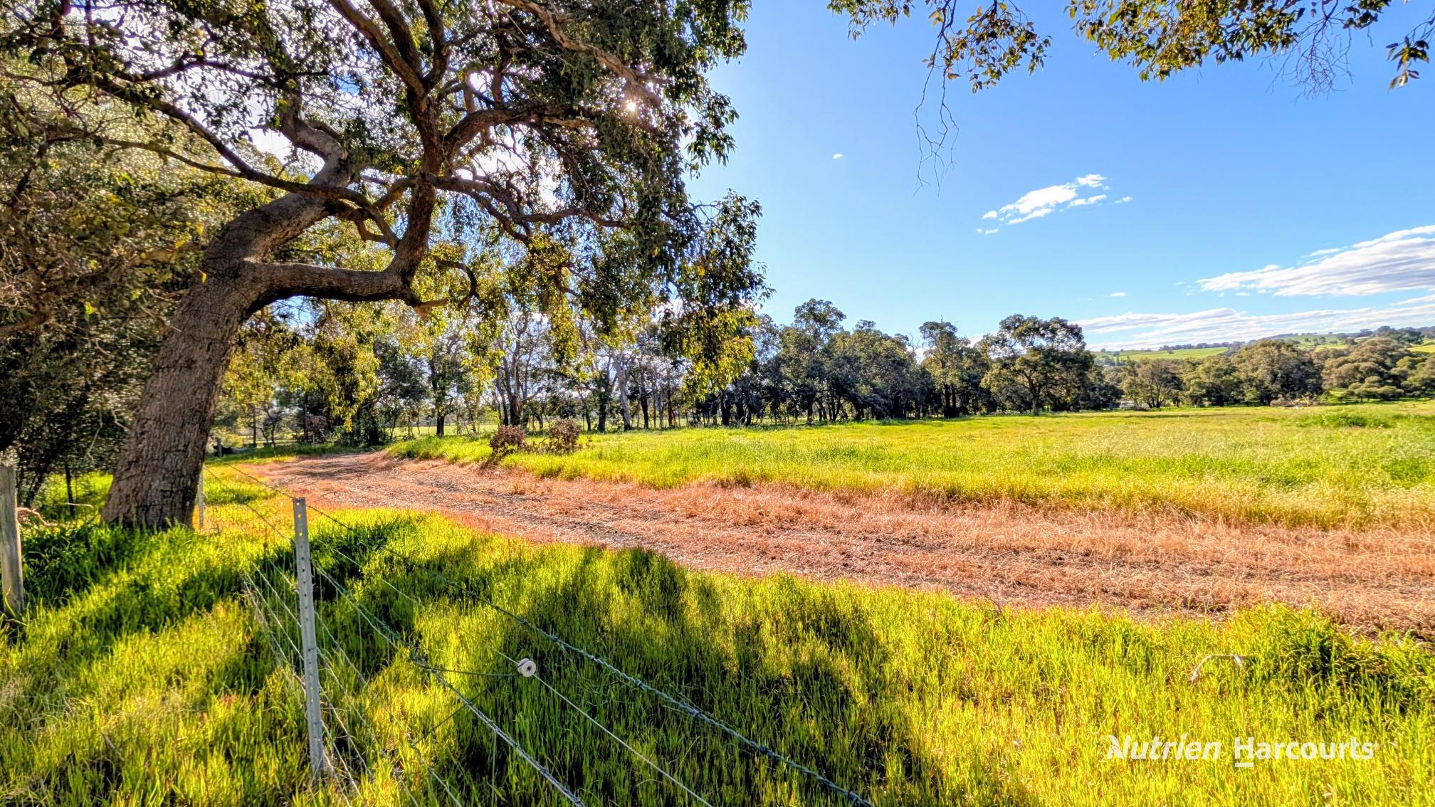2 (Lot 201) Lefroy Street, Gingin For Sale by Farmbuy.com - image 3