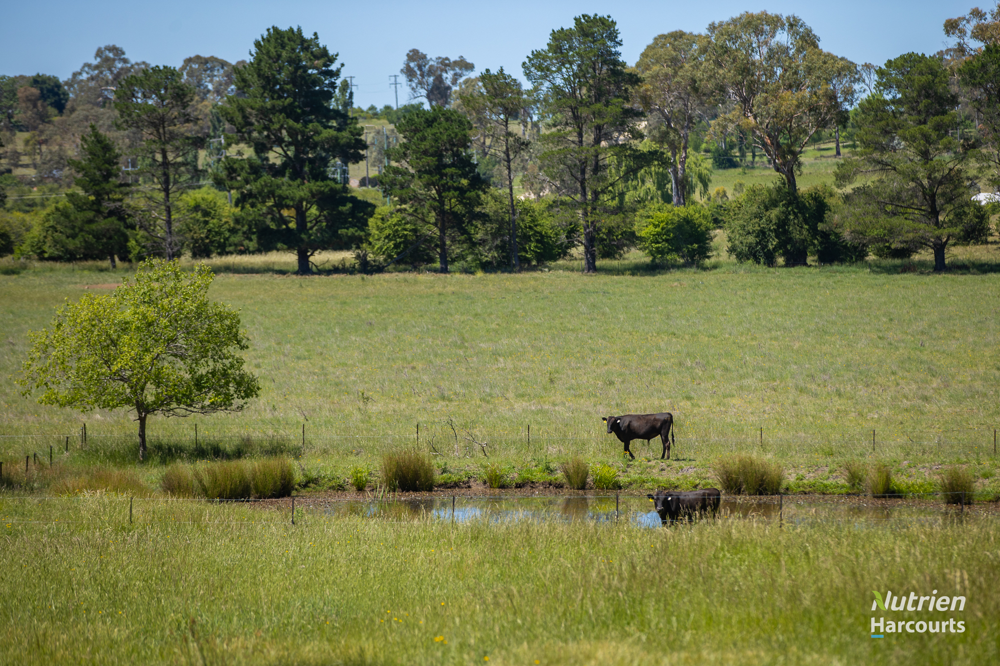 40 Roseneath Lane, Armidale For Sale by Farmbuy.com - image 7
