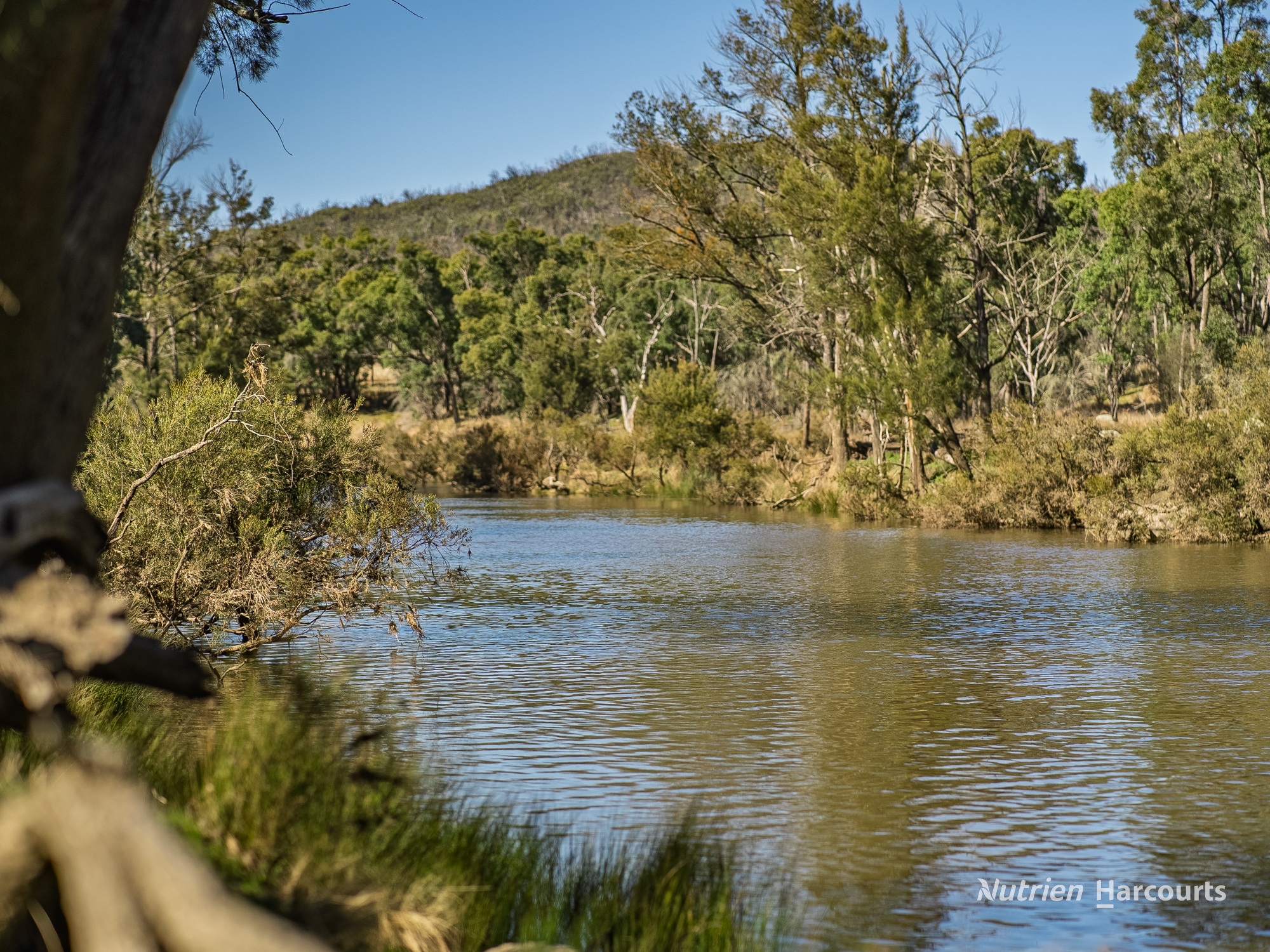208 Rocky Glen Road, Uralla NSW 2358