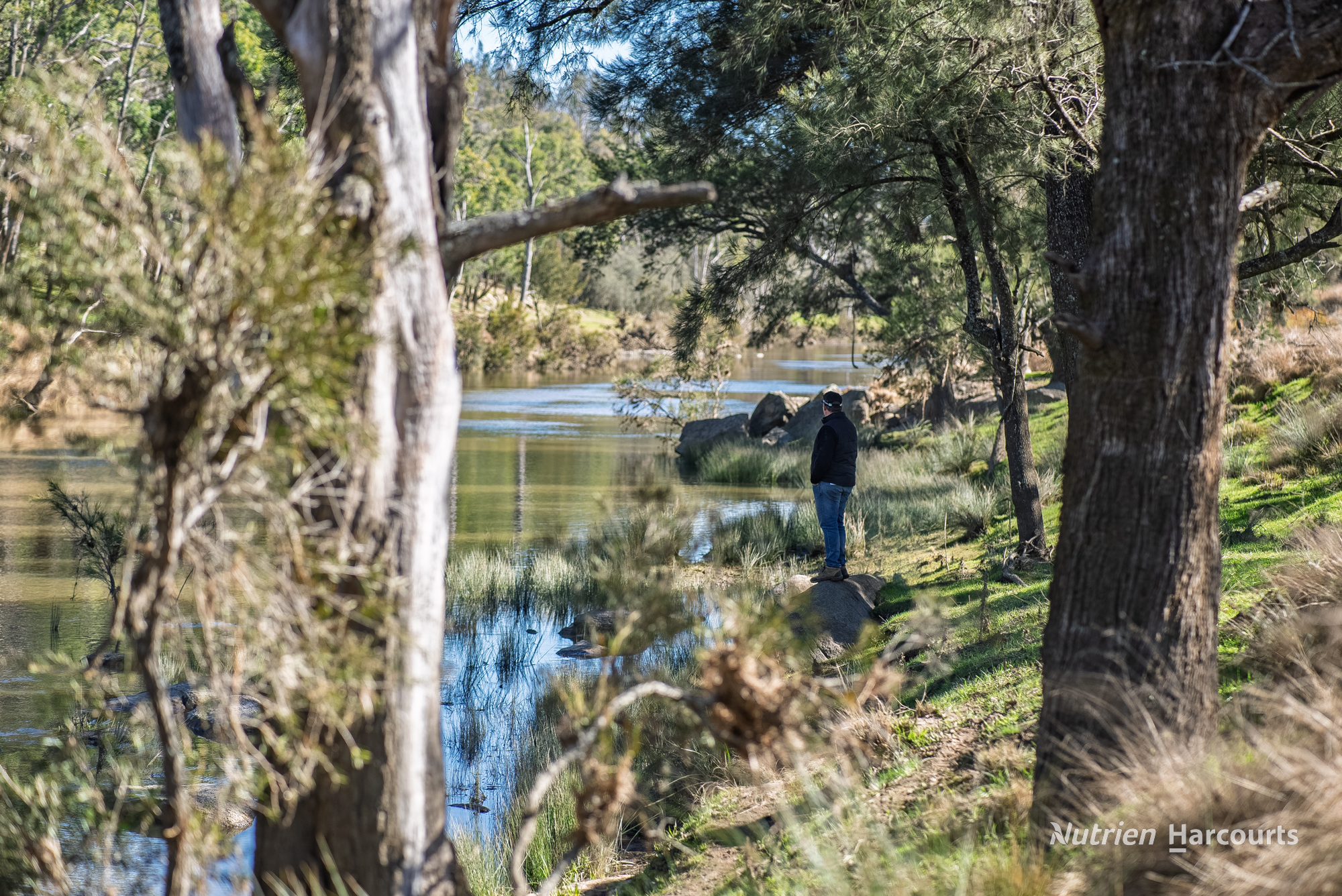 206 Rocky Glen Road, Uralla NSW 2358