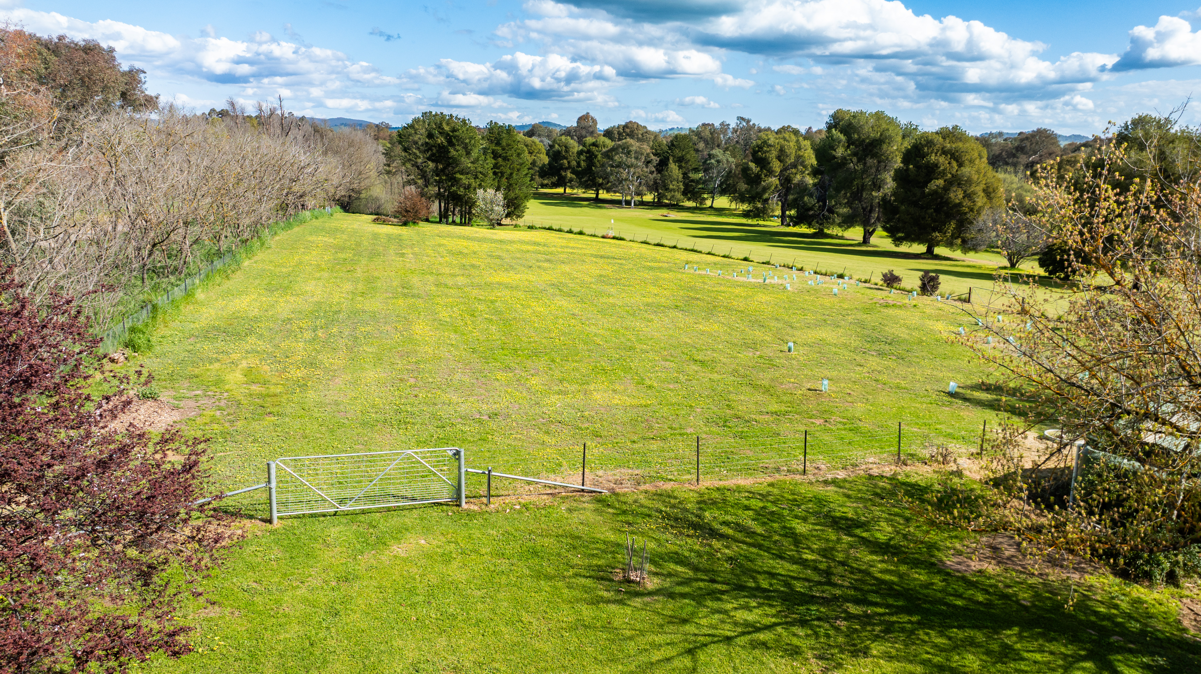 51 Halford Drive, Holbrook Auction by Farmbuy.com - image 20