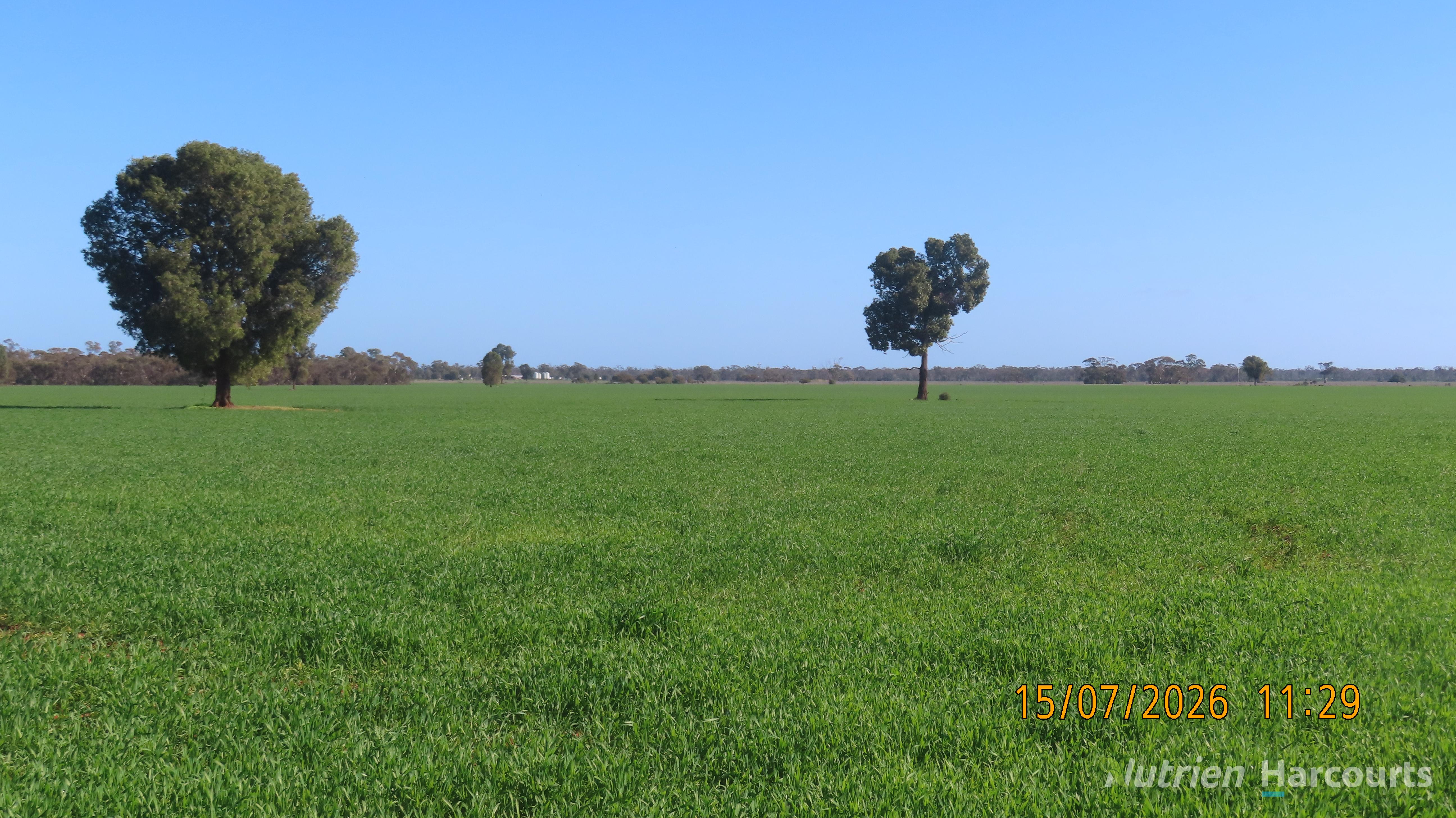 Glenhope Girilambone Road, Girilambone NSW 2831