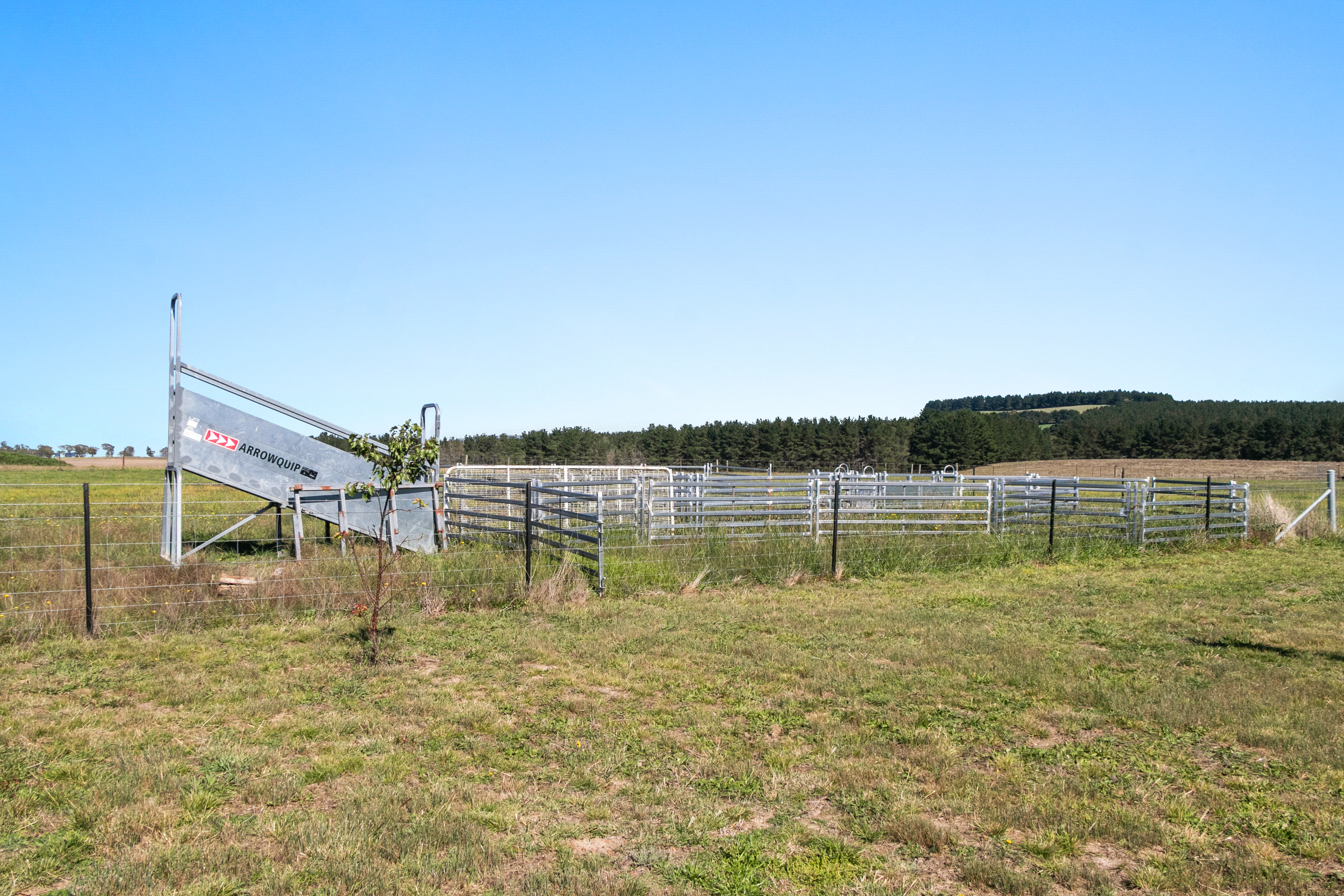 749 Glenoval Road, Lake Bathurst For Sale by Farmbuy.com - image 34