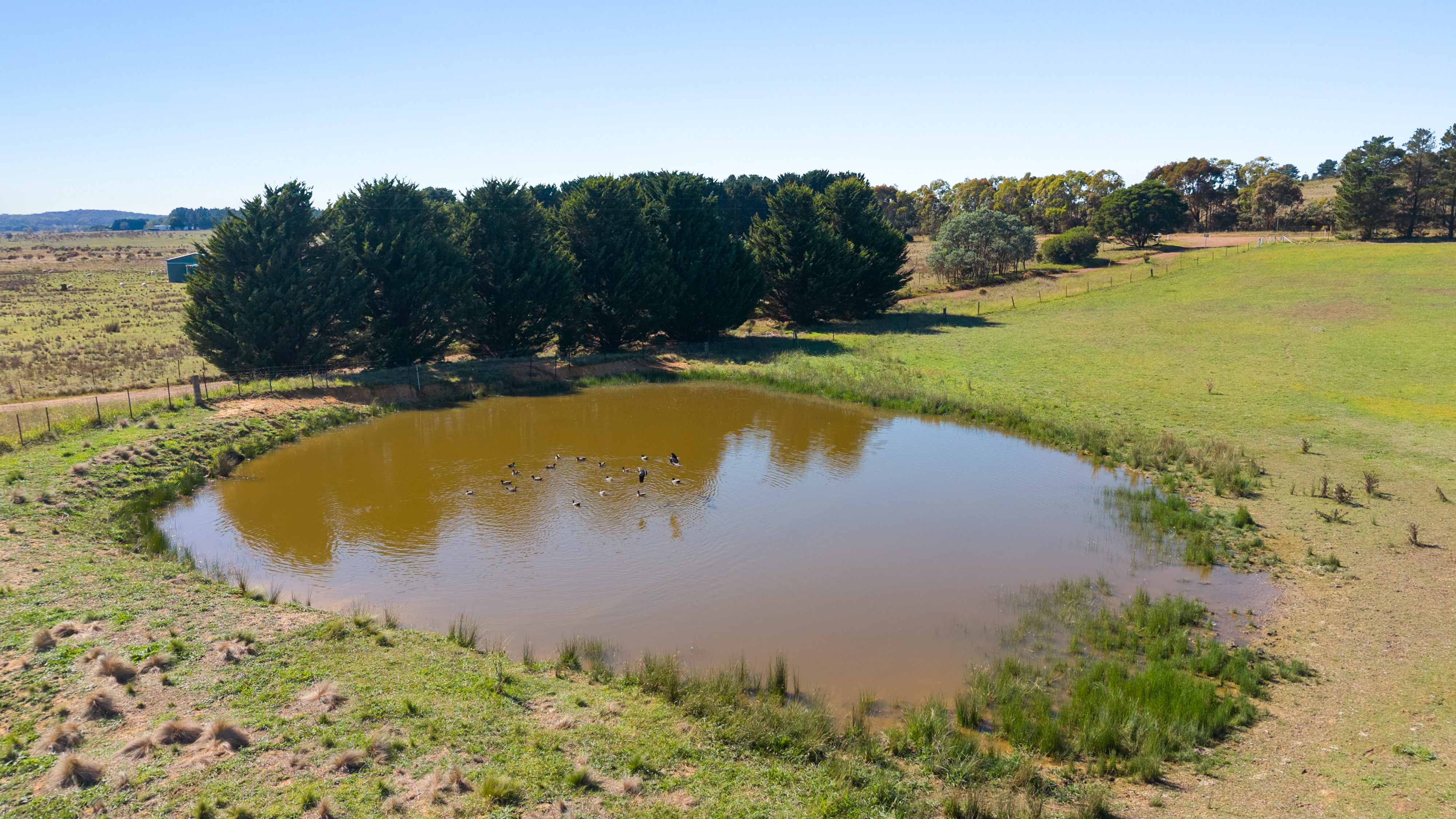749 Glenoval Road, Lake Bathurst For Sale by Farmbuy.com - image 29