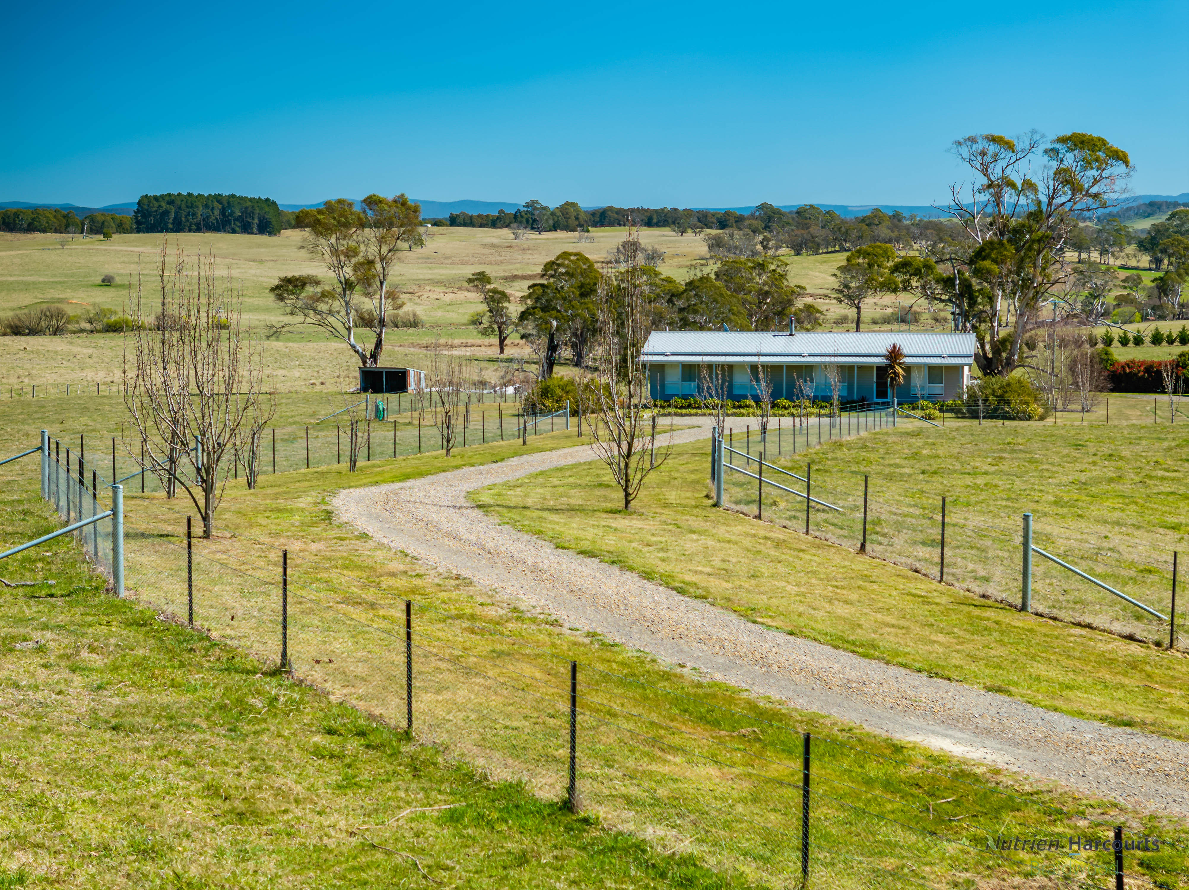 24 Sawyers Ridge  Road, Reidsdale For Sale by Farmbuy.com - image 4