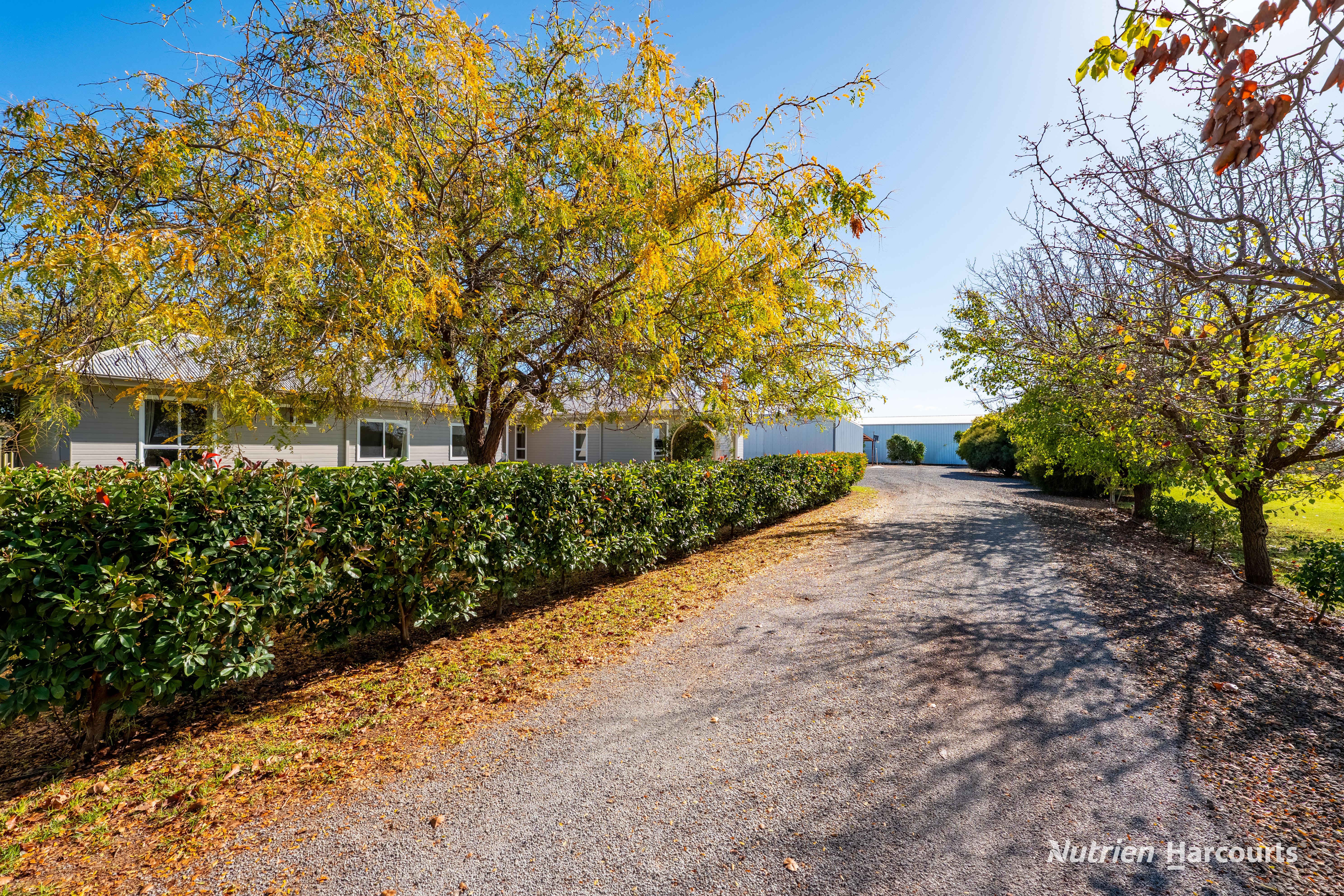 392 Rossetto Road, Bilbul For Sale by Farmbuy.com - image 5