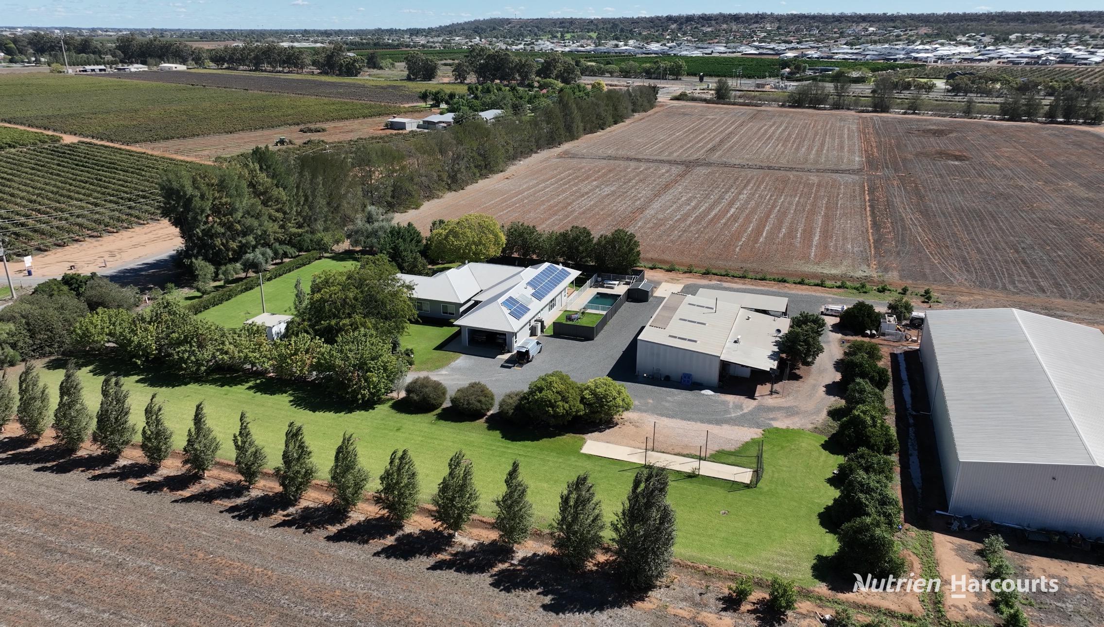 392 Rossetto Road, Bilbul For Sale by Farmbuy.com - image 2