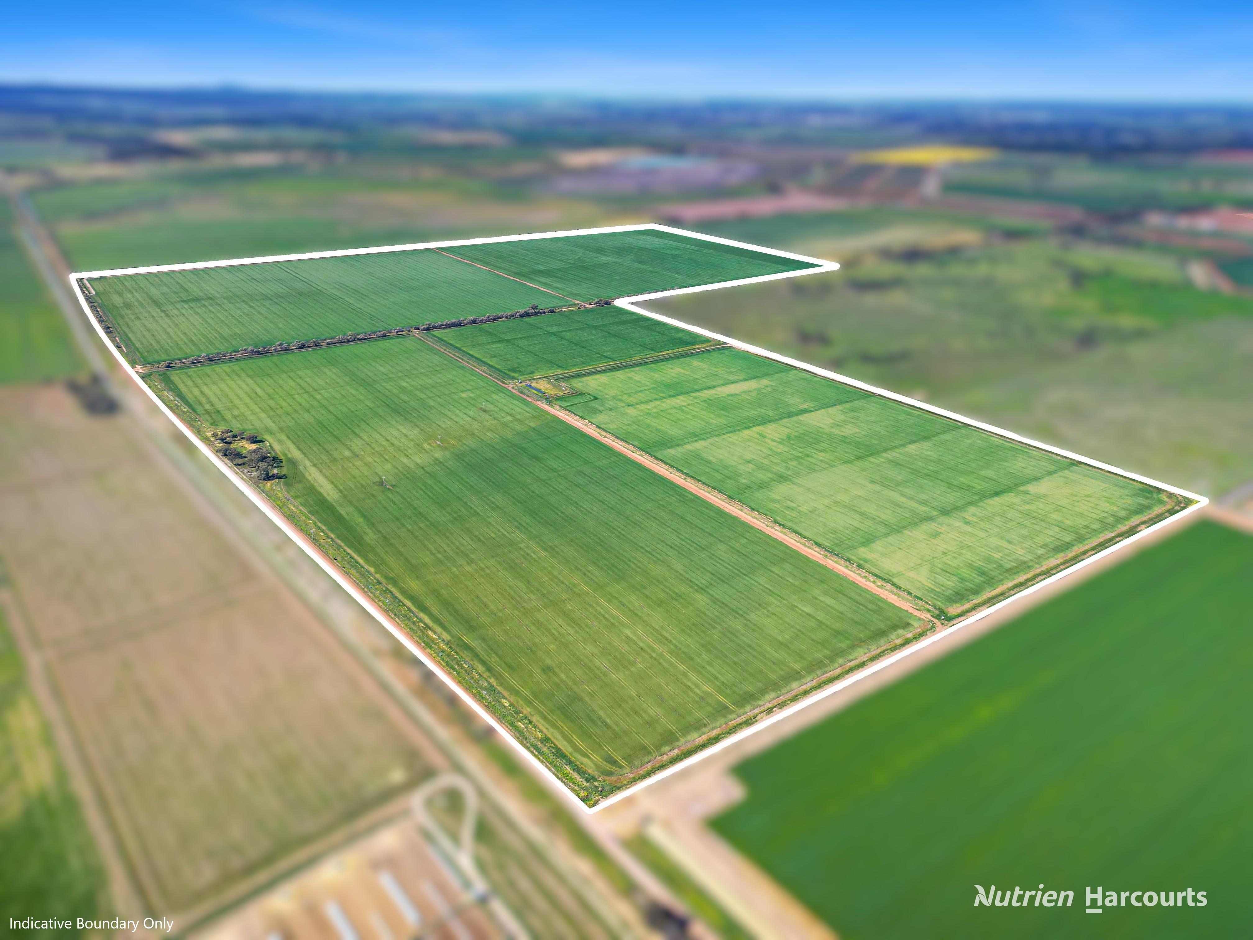 Lot 236&comma; Boundary Road And 23-37 Wilkinson Road, Leeton NSW 2705