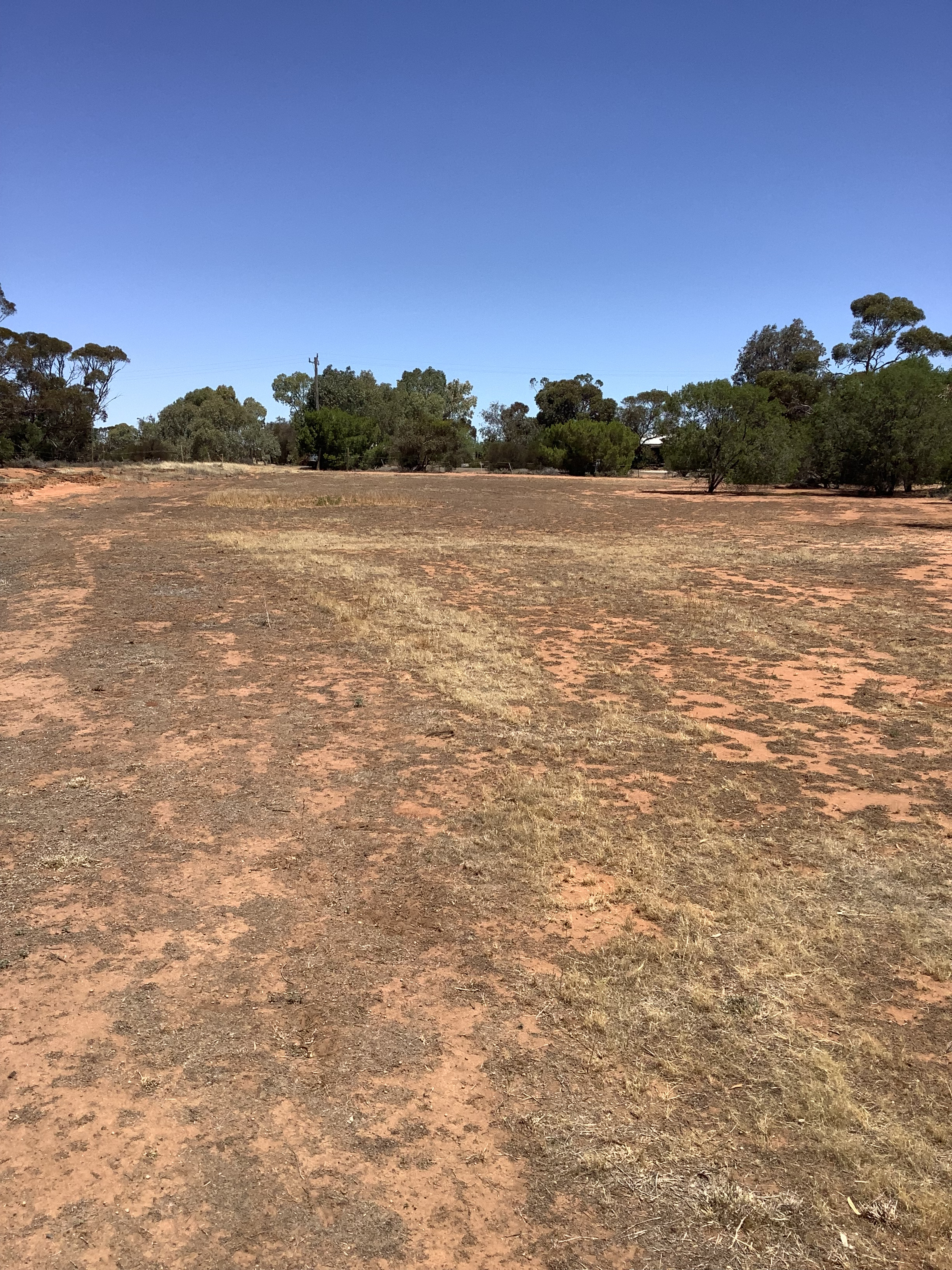 34 Victoria St, Berriwillock VIC 3531