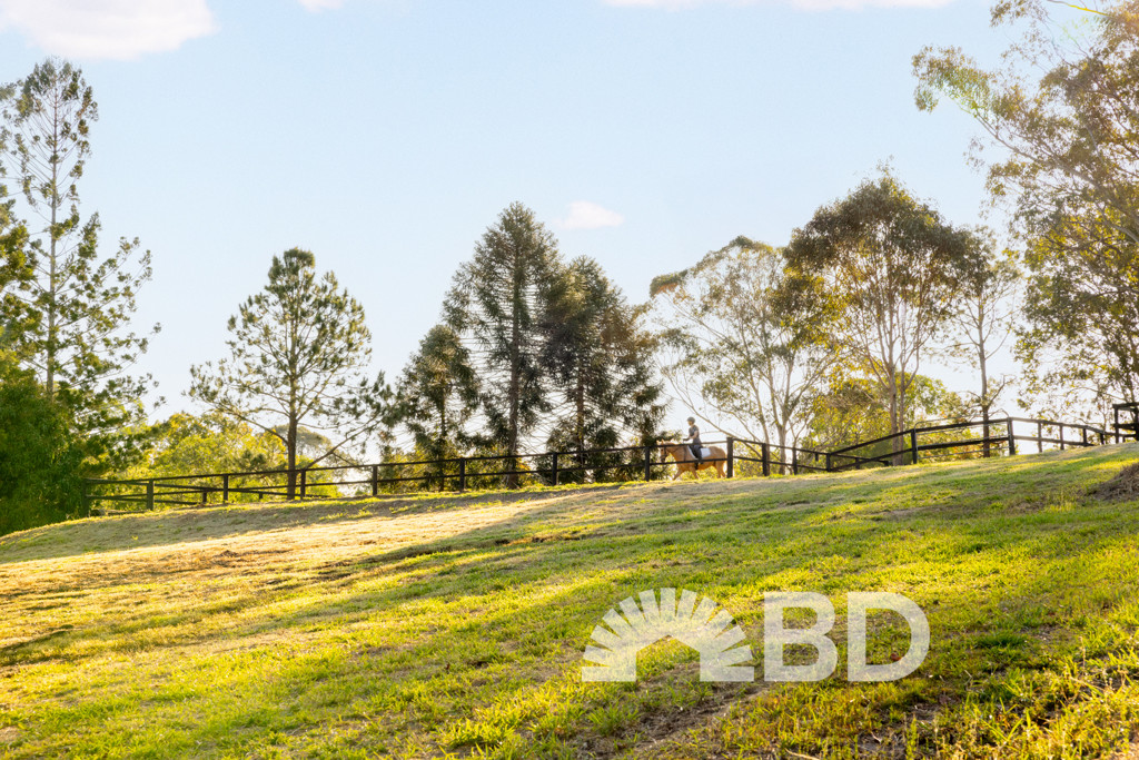 139 Raynbird Road<br />NARANGBA 4504