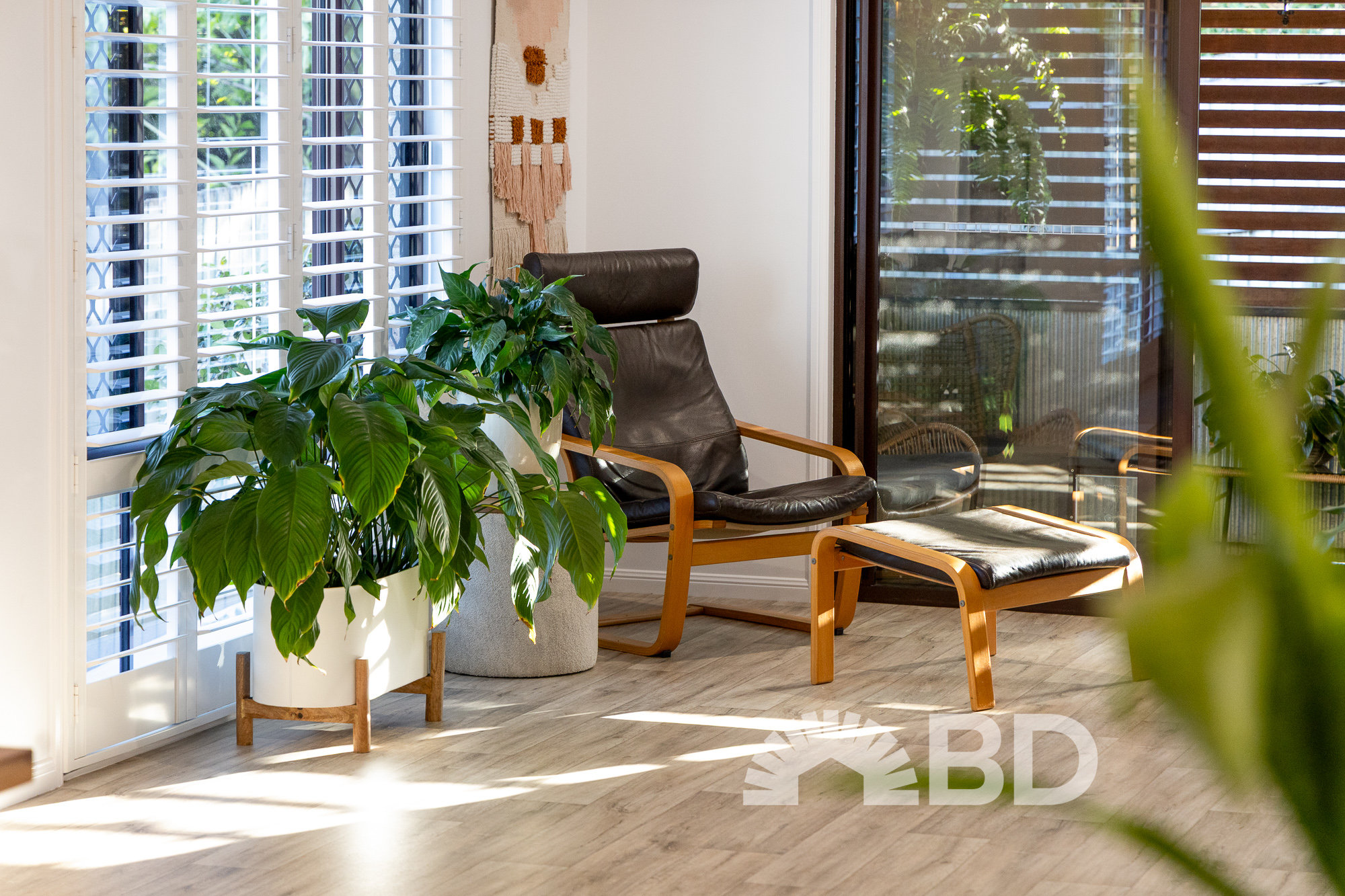 5 Quandong Court, Narangba QLD