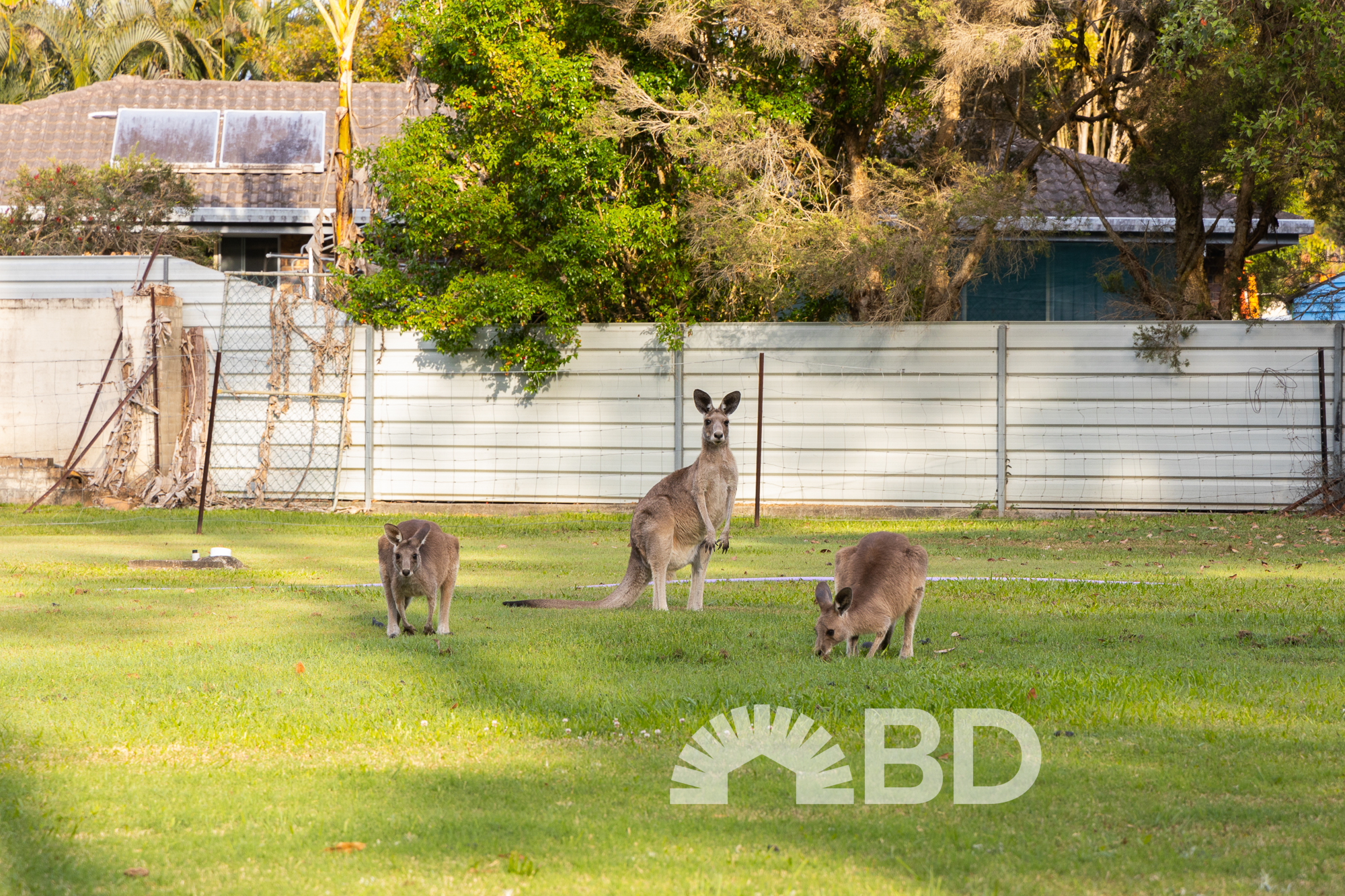 Lot 5-10, 57 Emu Road, Elimbah QLD
