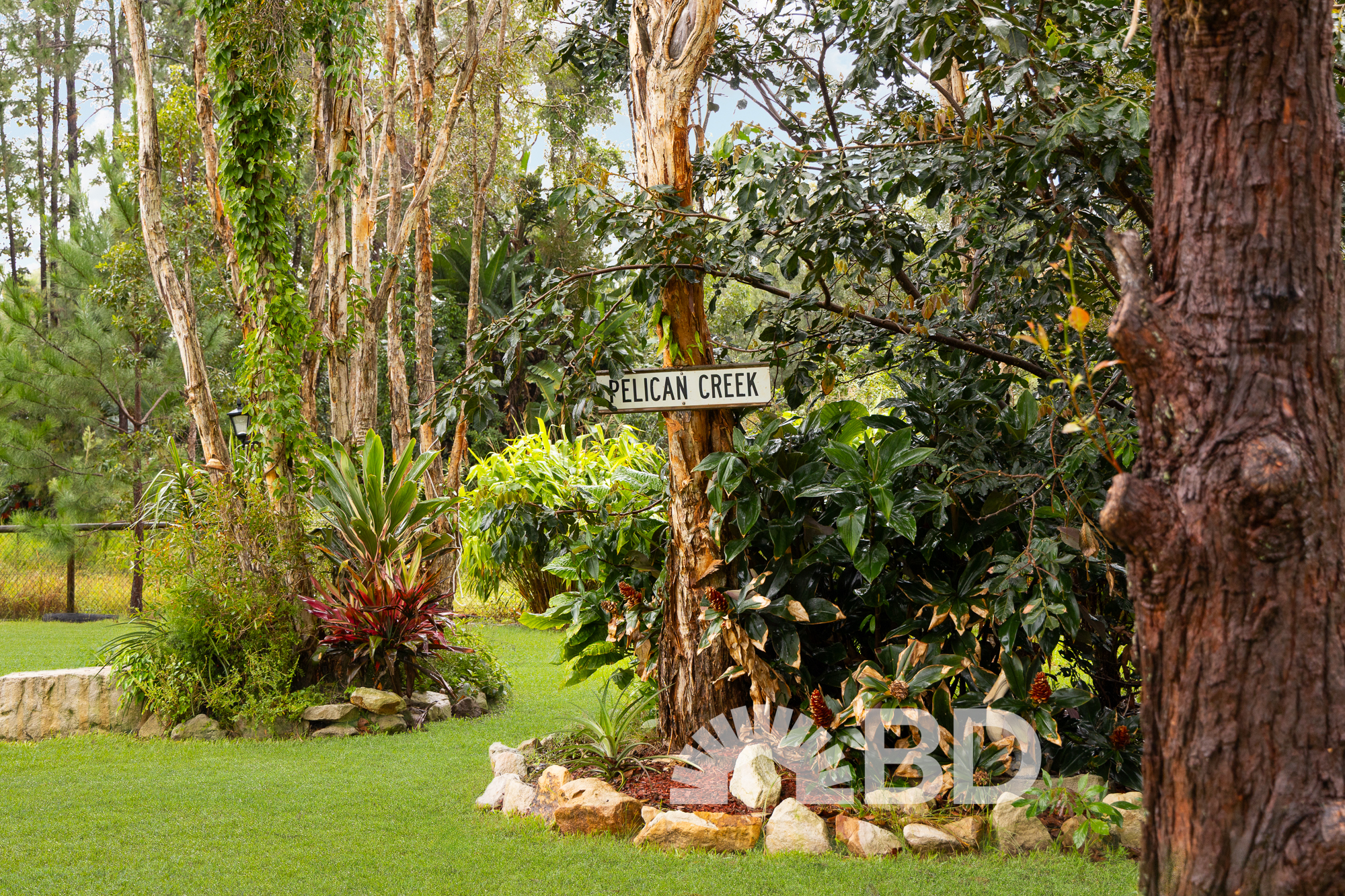 29 Keith Street, Elimbah QLD