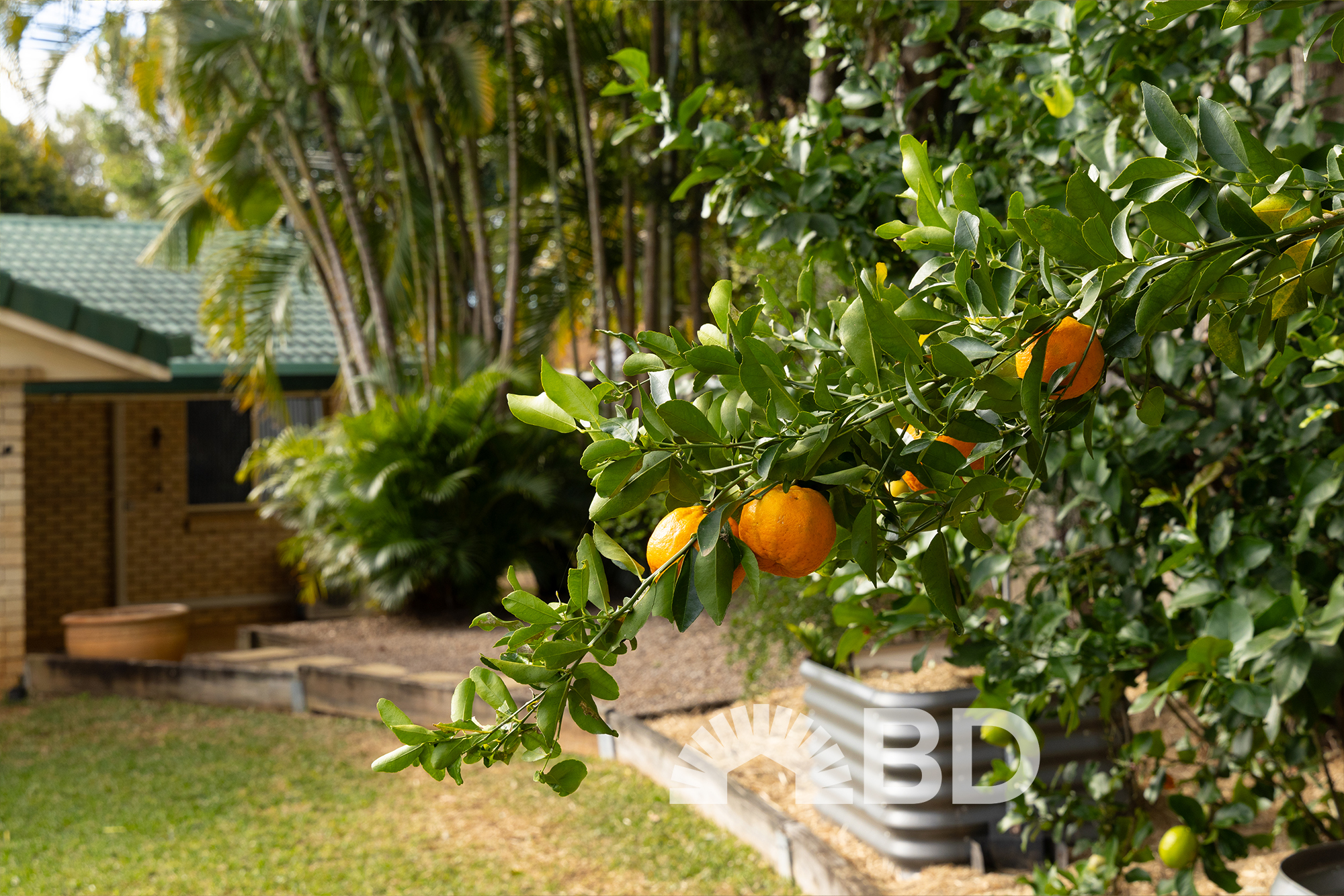 72 Crestridge Crescent, Morayfield QLD