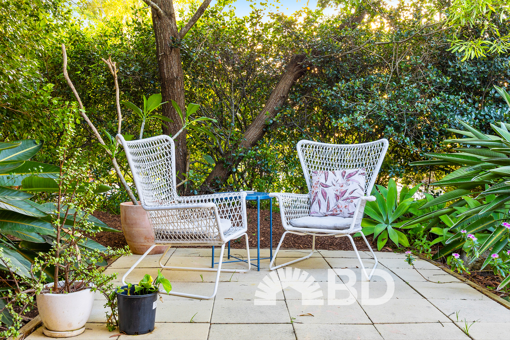 20 Mango Crescent, Narangba QLD