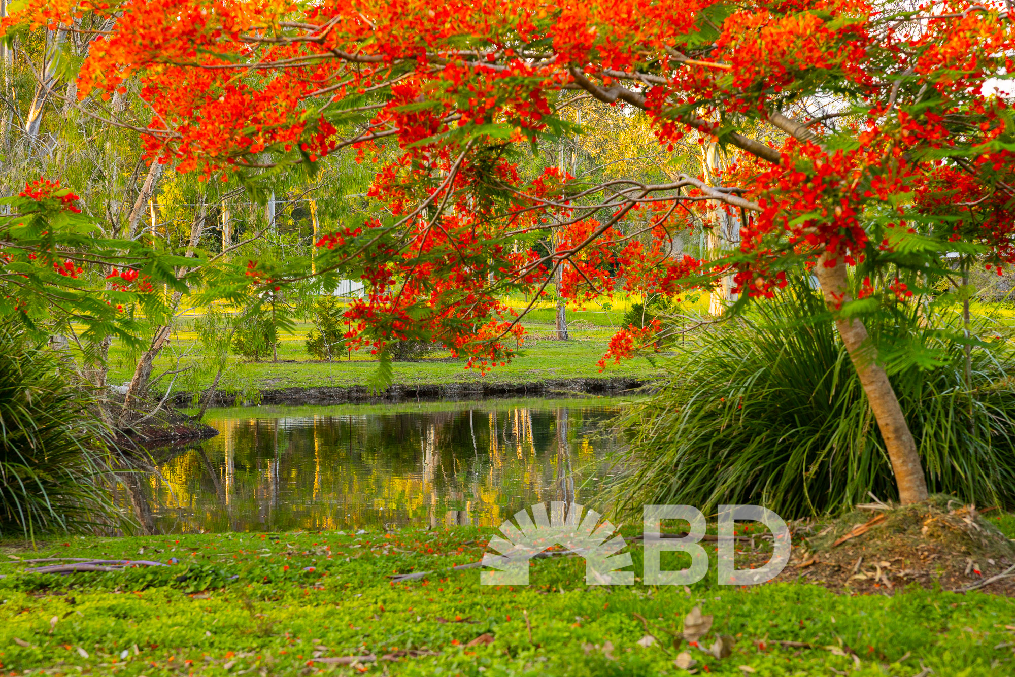 50-56 Conifer Road, Morayfield QLD