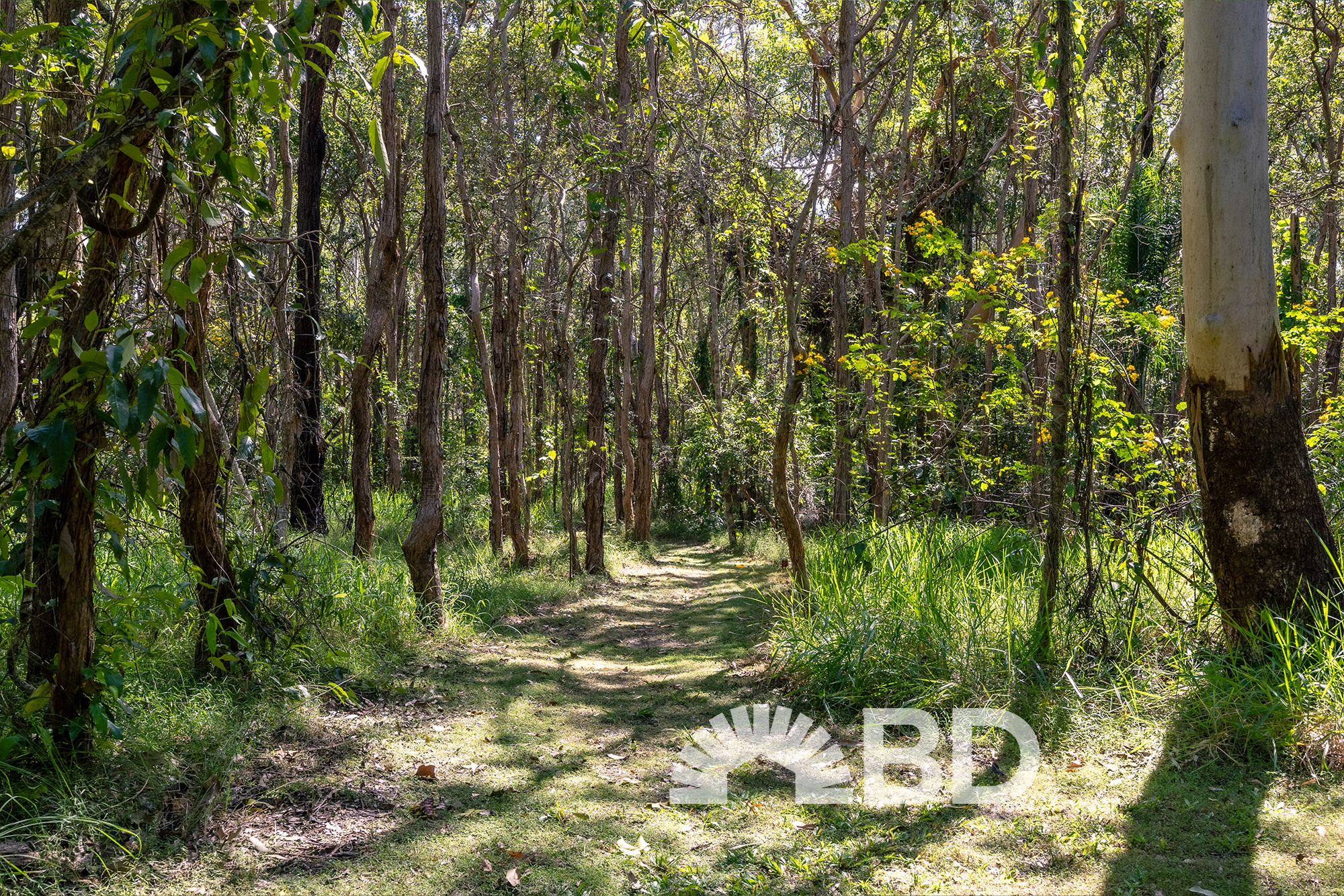 108 Coutts Drive, Burpengary QLD