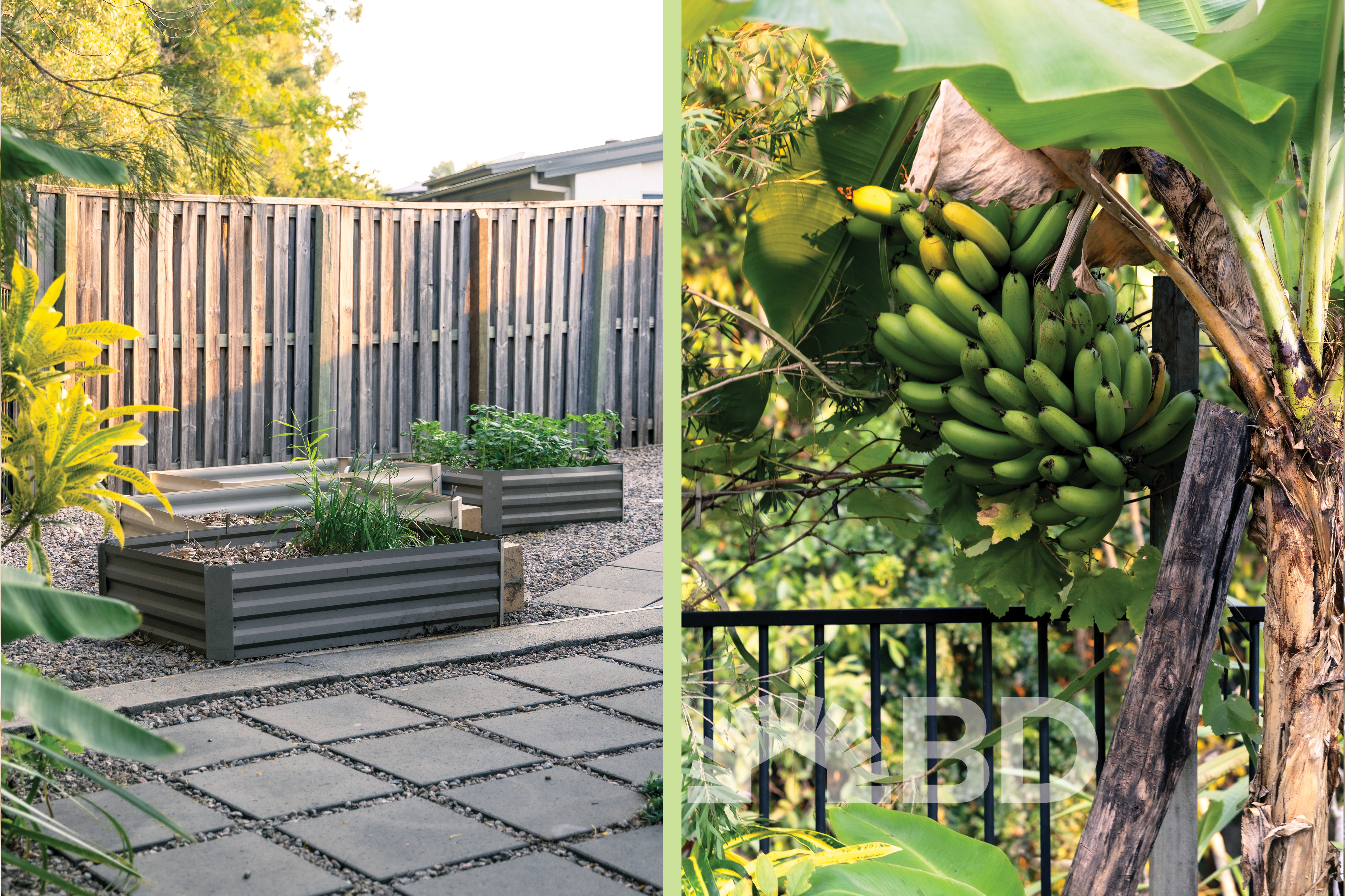 14 Starling Court, Narangba QLD